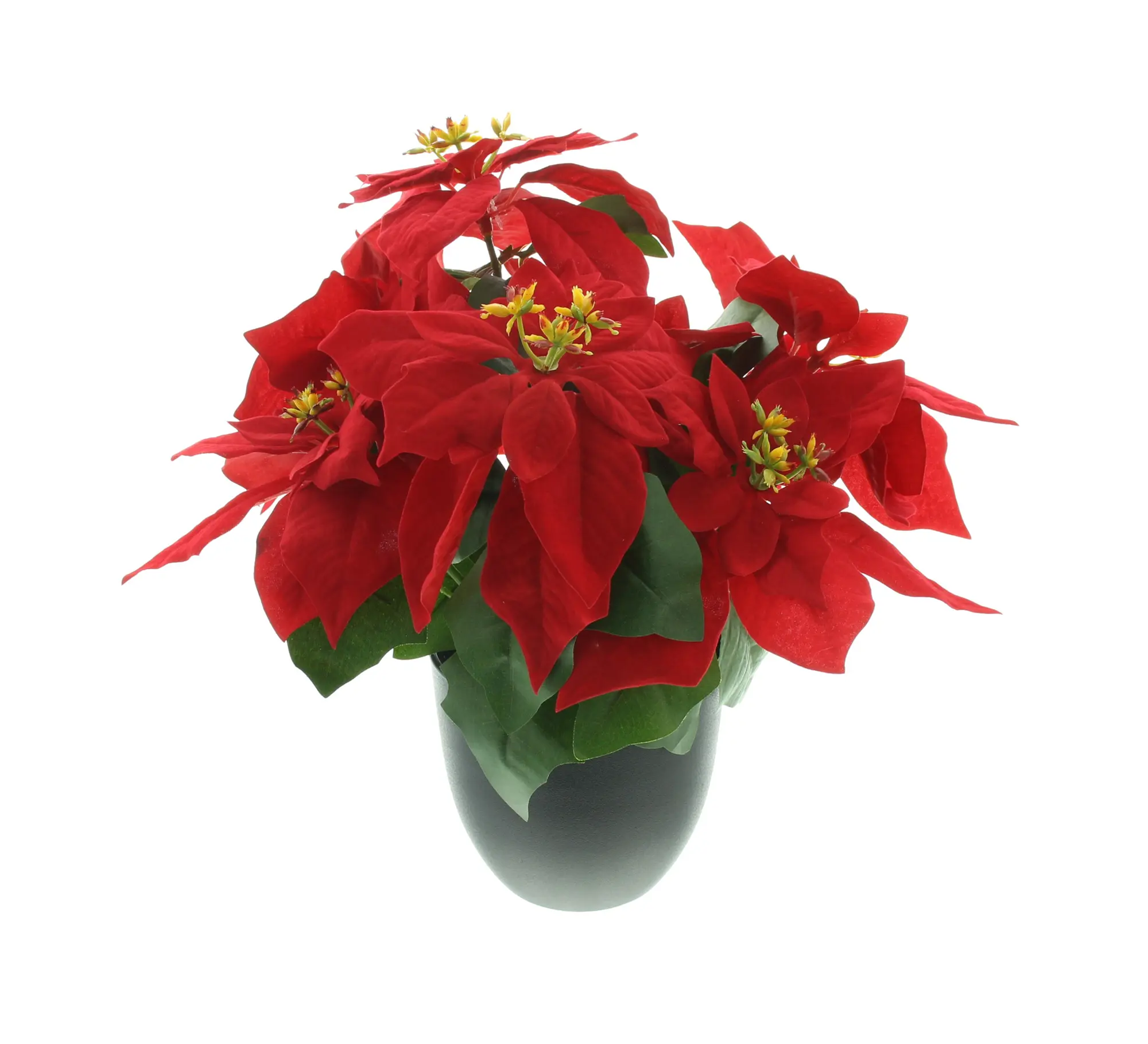 Kunstblume "Großer Weihnachtsstern" im Frank Flechtwaren Online Shop für Weihnachten kaufen Kunstblume "Großer Weihnachtsstern" im Frank Flechtwaren Online Shop für Weihnachten kaufen