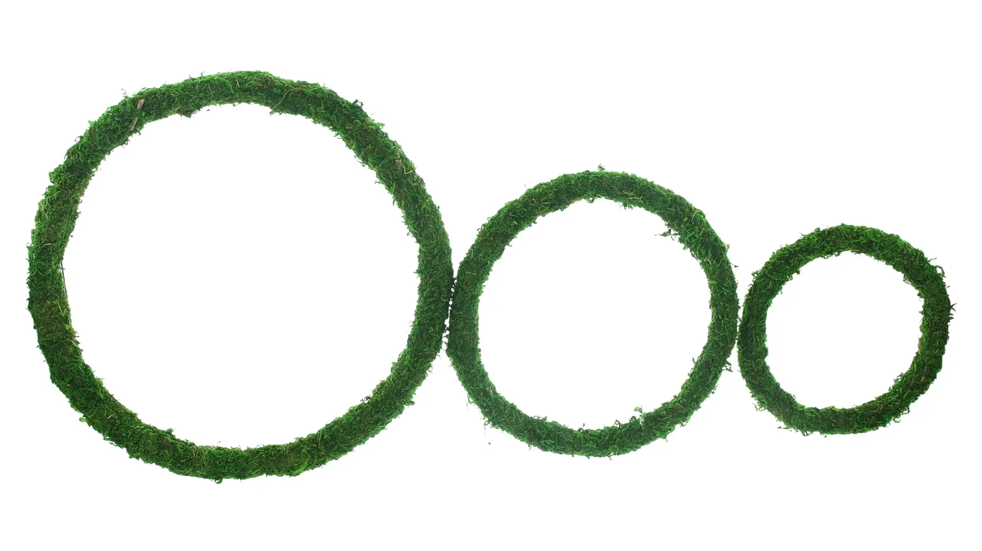 Dekoring "Moos", 3er Set  im Frank Flechtwaren Online Shop kaufen