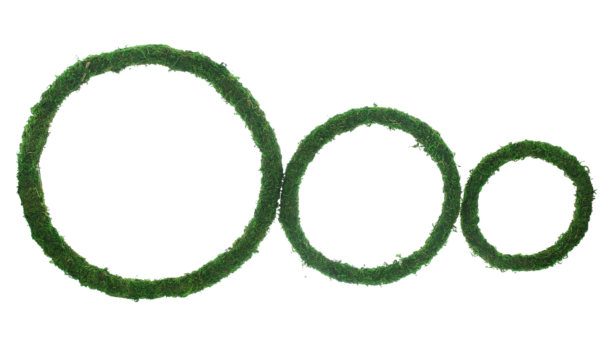 Dekoring "Moos", 3er Set  im Frank Flechtwaren Online Shop kaufen