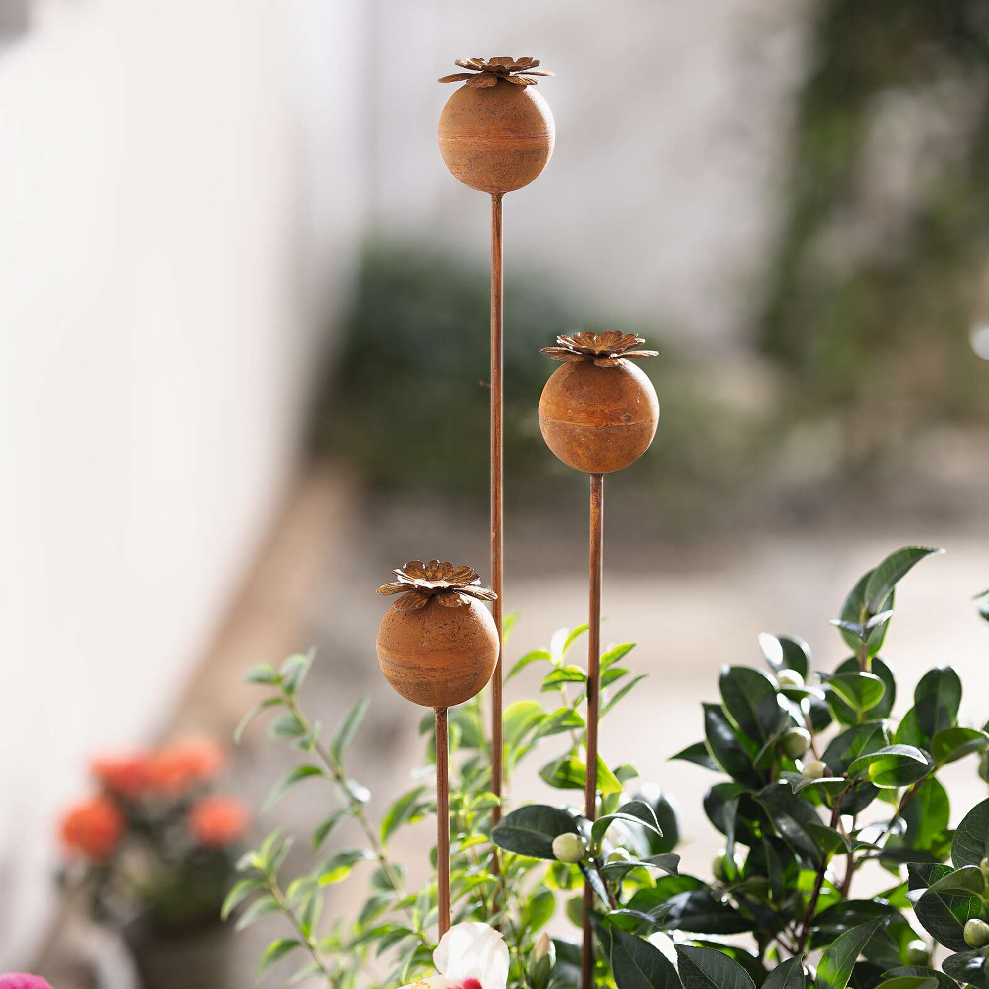 Gartenstecker "Mohn", 3er Set  im Frank Flechtwaren Online Shop kaufen