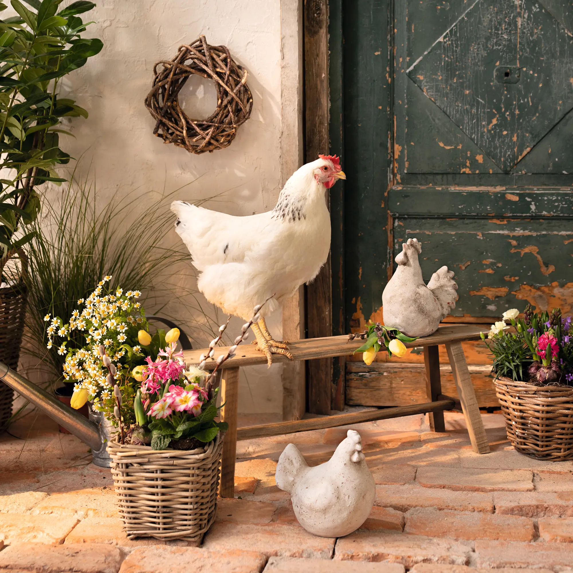 Figur "Huhn & Hahn", 2er Set im Frank Flechtwaren Online Shop für Ostern kaufen Figur "Huhn & Hahn", 2er Set im Frank Flechtwaren Online Shop für Ostern kaufen