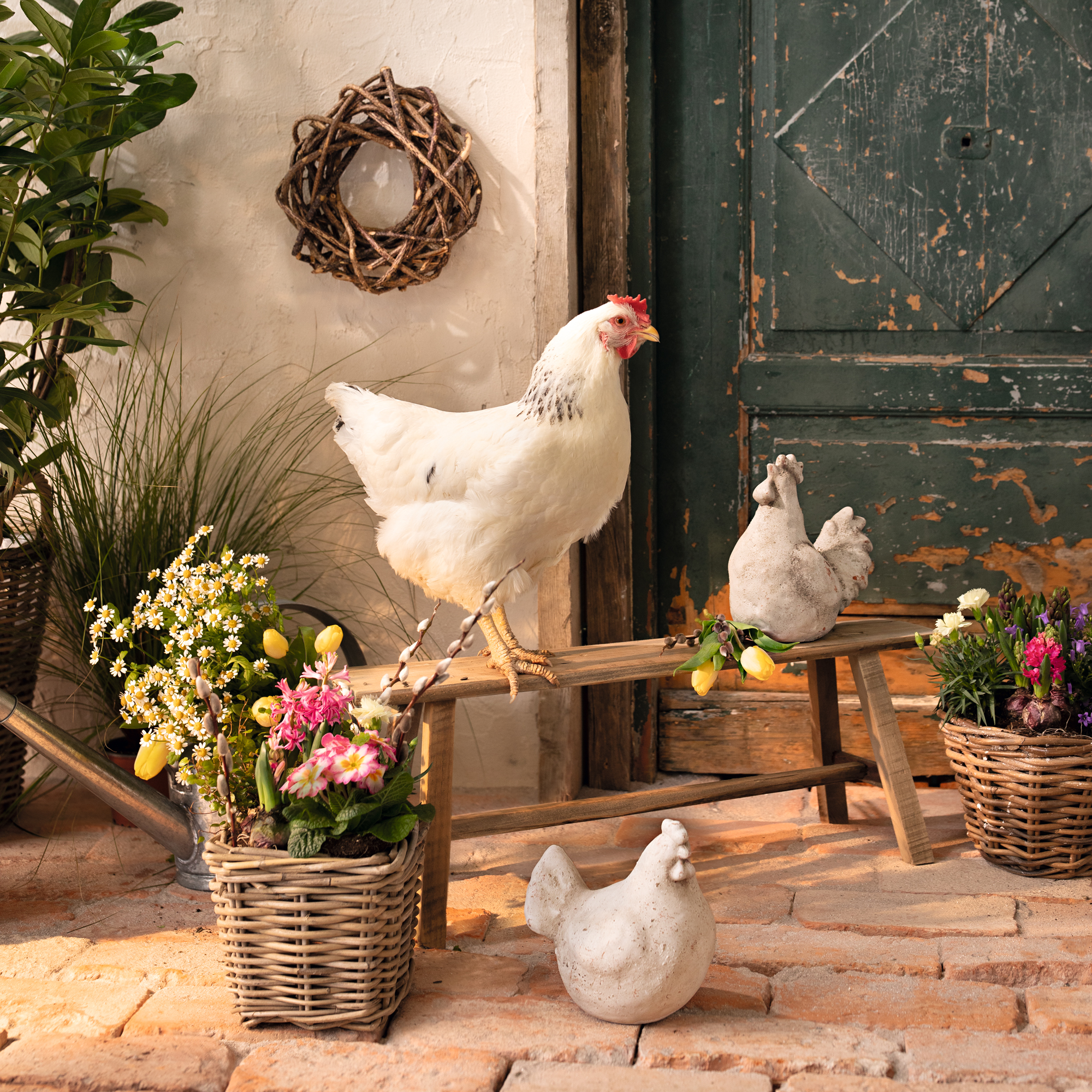Figur "Huhn & Hahn", 2er Set im Frank Flechtwaren Online Shop für Ostern kaufen Figur "Huhn & Hahn", 2er Set im Frank Flechtwaren Online Shop für Ostern kaufen