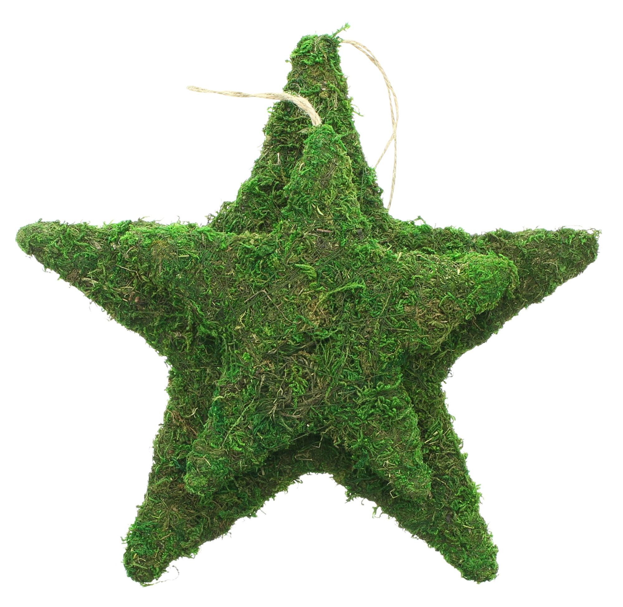Stern "Moos", 2er Set  im Frank Flechtwaren Online Shop für Weihnachten kaufen