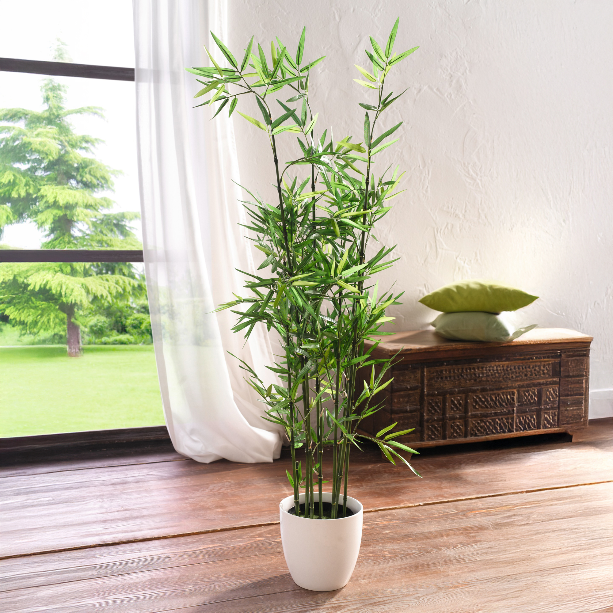 Acheter Plante "bambou"  dans la boutique en ligne de Frank Flechtwaren