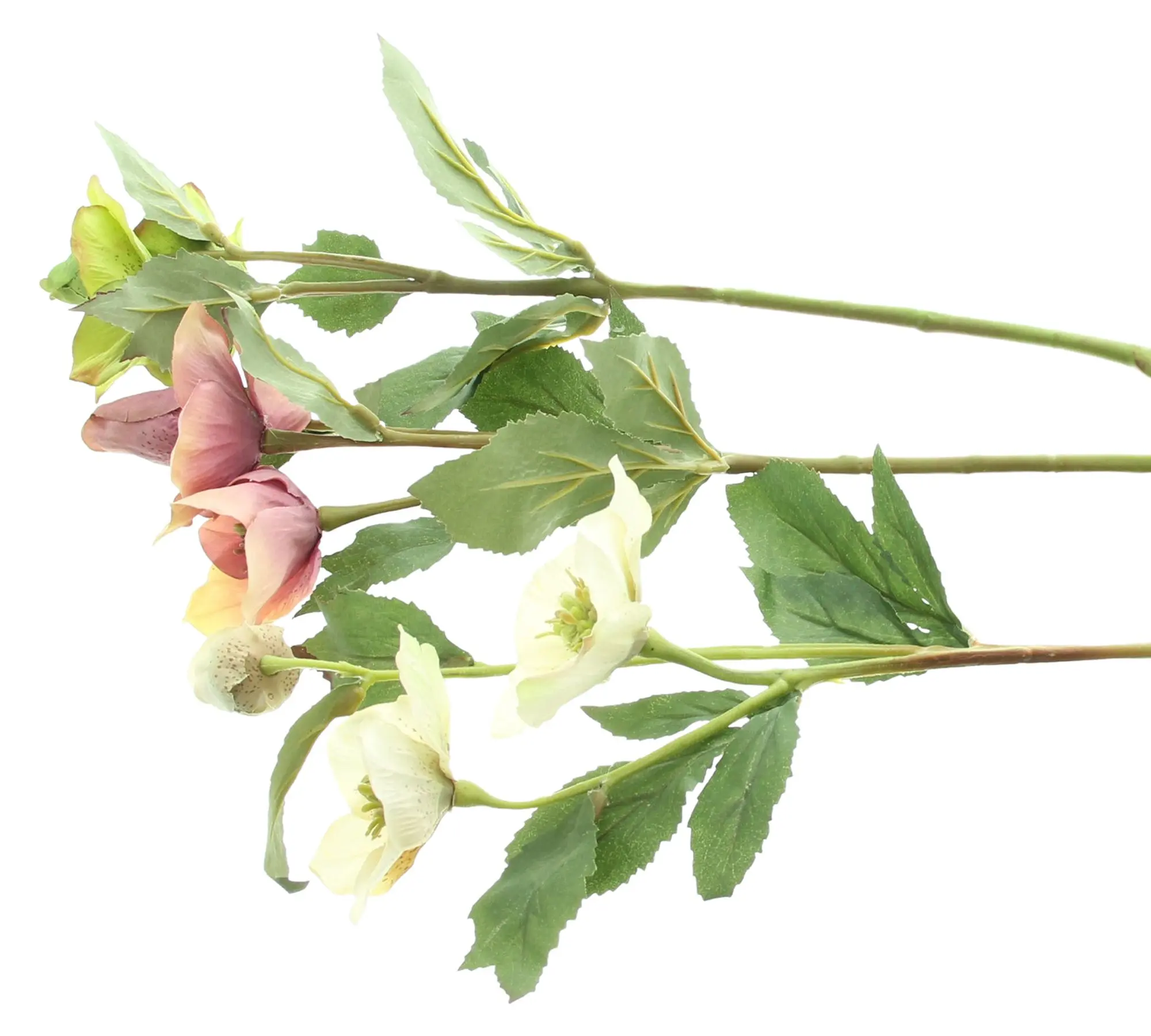 Kunstblume "Christrose", 3er Set im Frank Flechtwaren Online Shop für kaufen Kunstblume "Christrose", 3er Set im Frank Flechtwaren Online Shop für kaufen