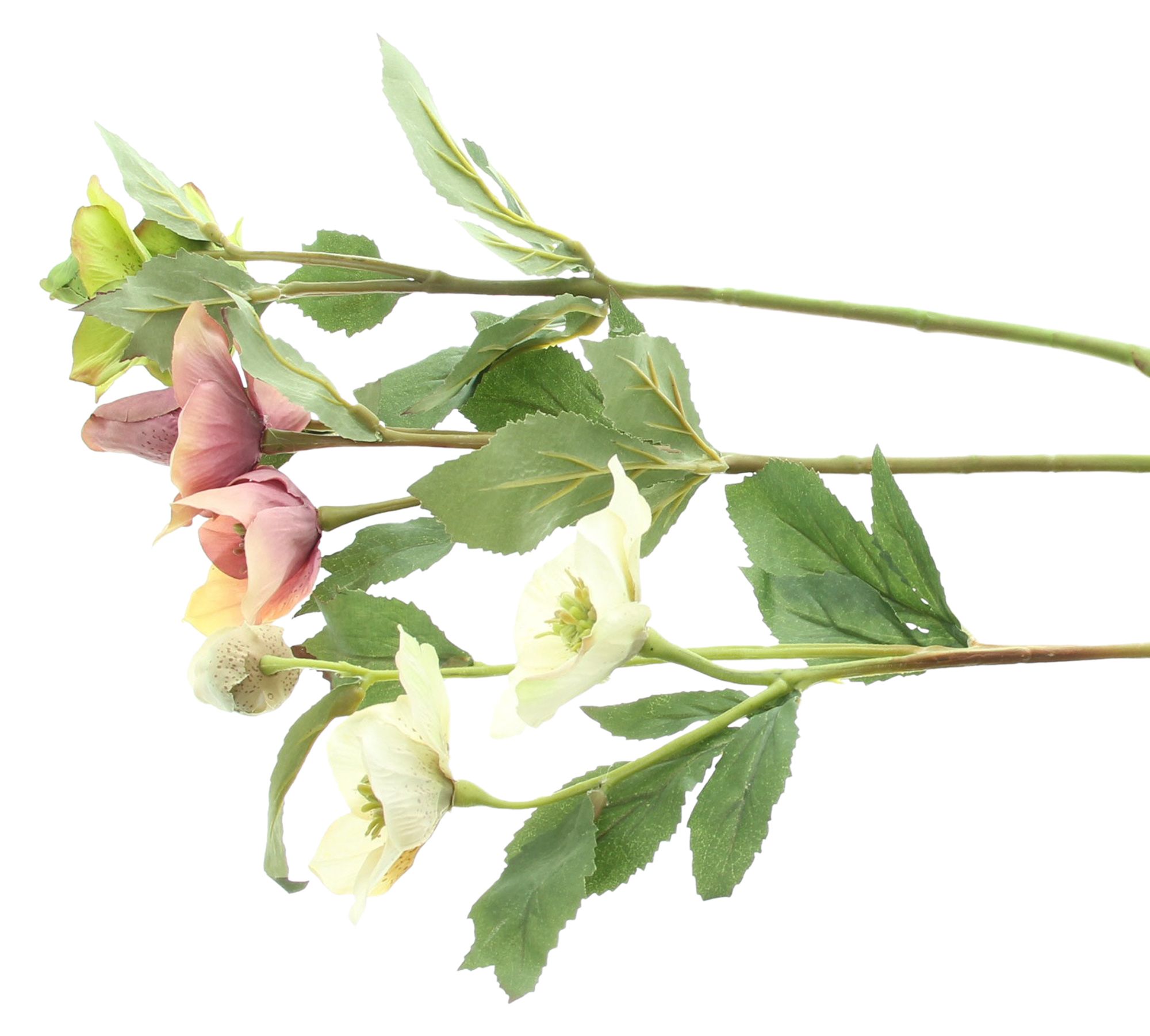 Kunstblume "Christrose", 3er Set im Frank Flechtwaren Online Shop für Weihnachten kaufen Kunstblume "Christrose", 3er Set im Frank Flechtwaren Online Shop für Weihnachten kaufen