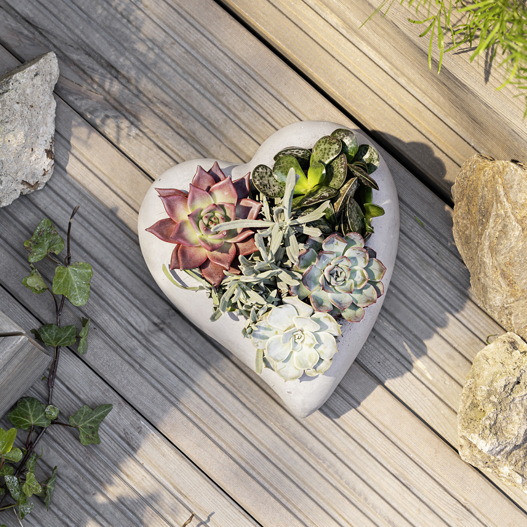 Pflanzer "Zement"  im Frank Flechtwaren Online Shop für Pflanztöpfe kaufen