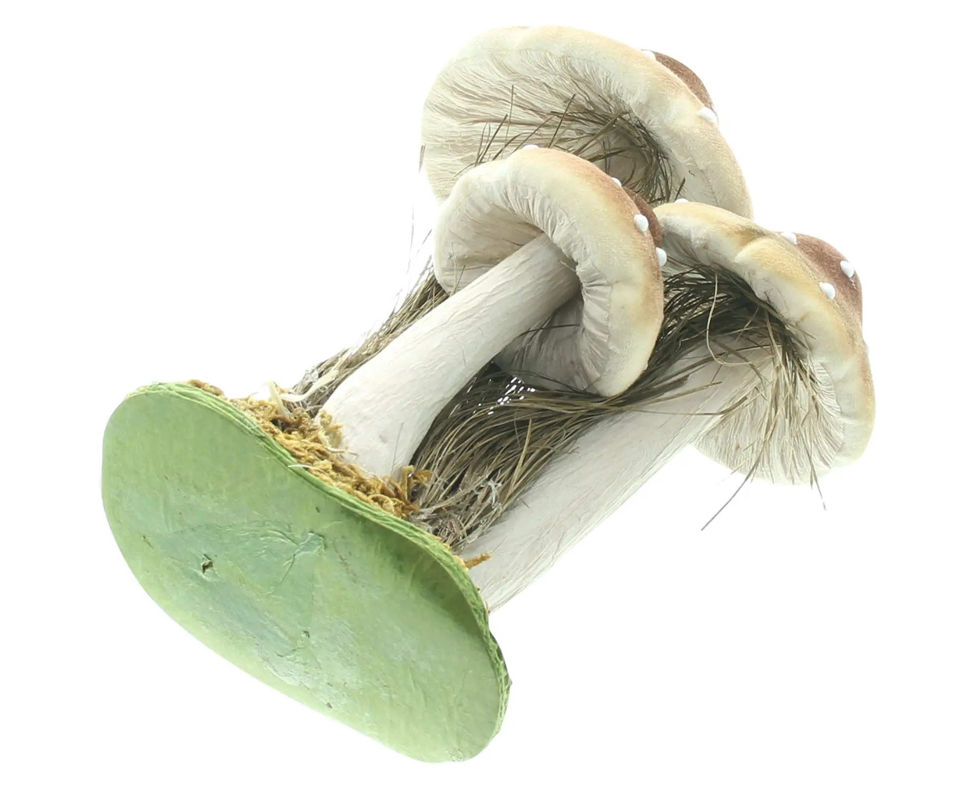 Herbst-Deko "Pilze"  im Frank Flechtwaren Online Shop für Waldspaziergang kaufen
