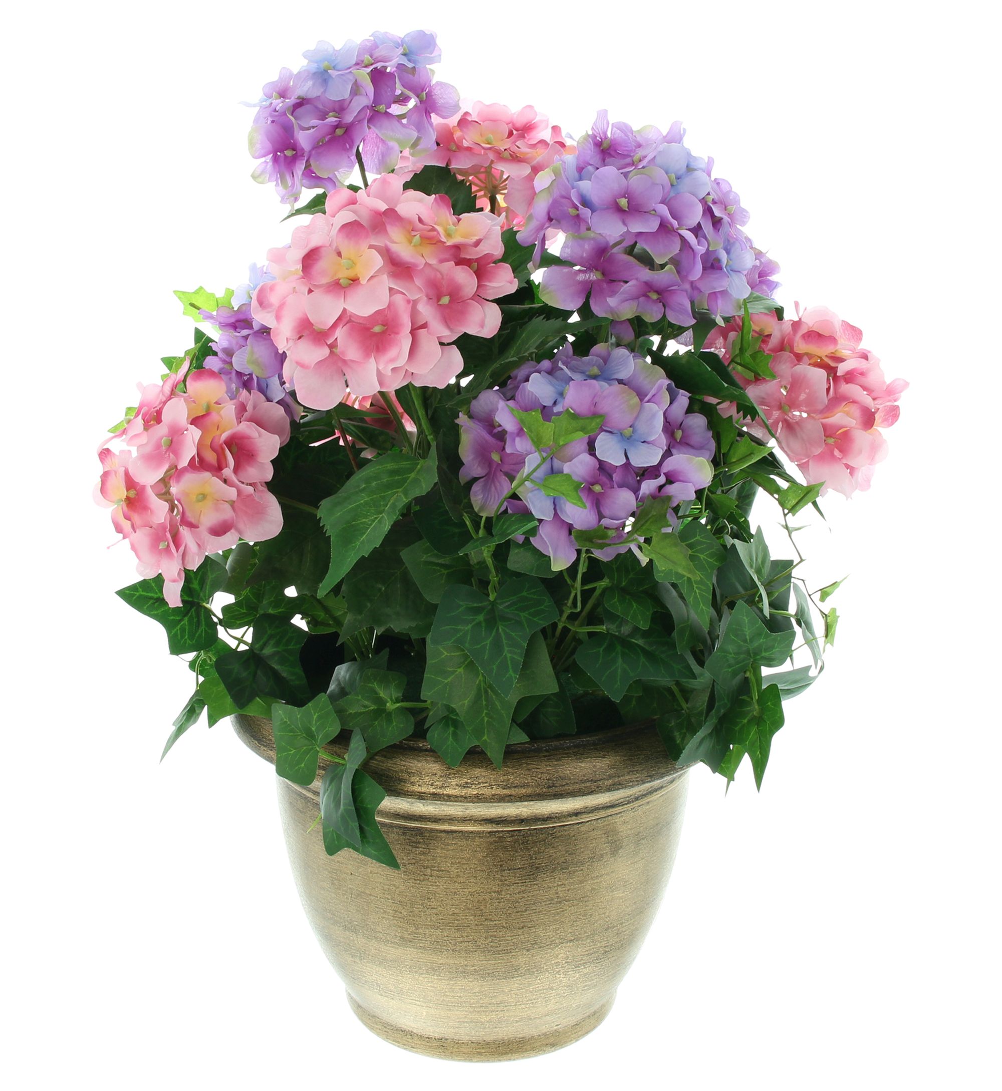Acheter Hortensias en pot  dans la boutique en ligne de Frank Flechtwaren pour Plantes artificielles