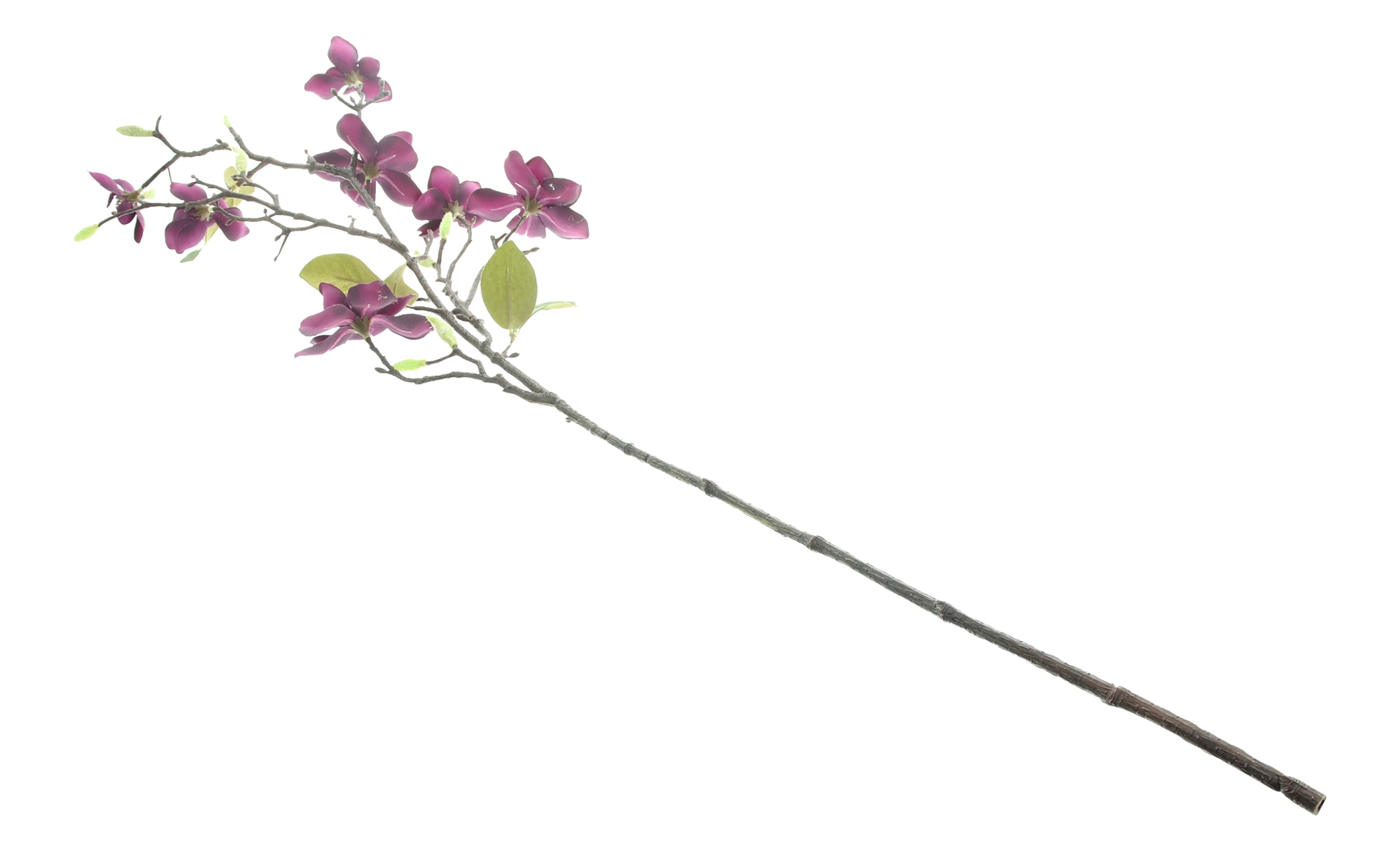 Kunstblume "Magnolienzweig"  im Frank Flechtwaren Online Shop für Kunstpflanzen kaufen