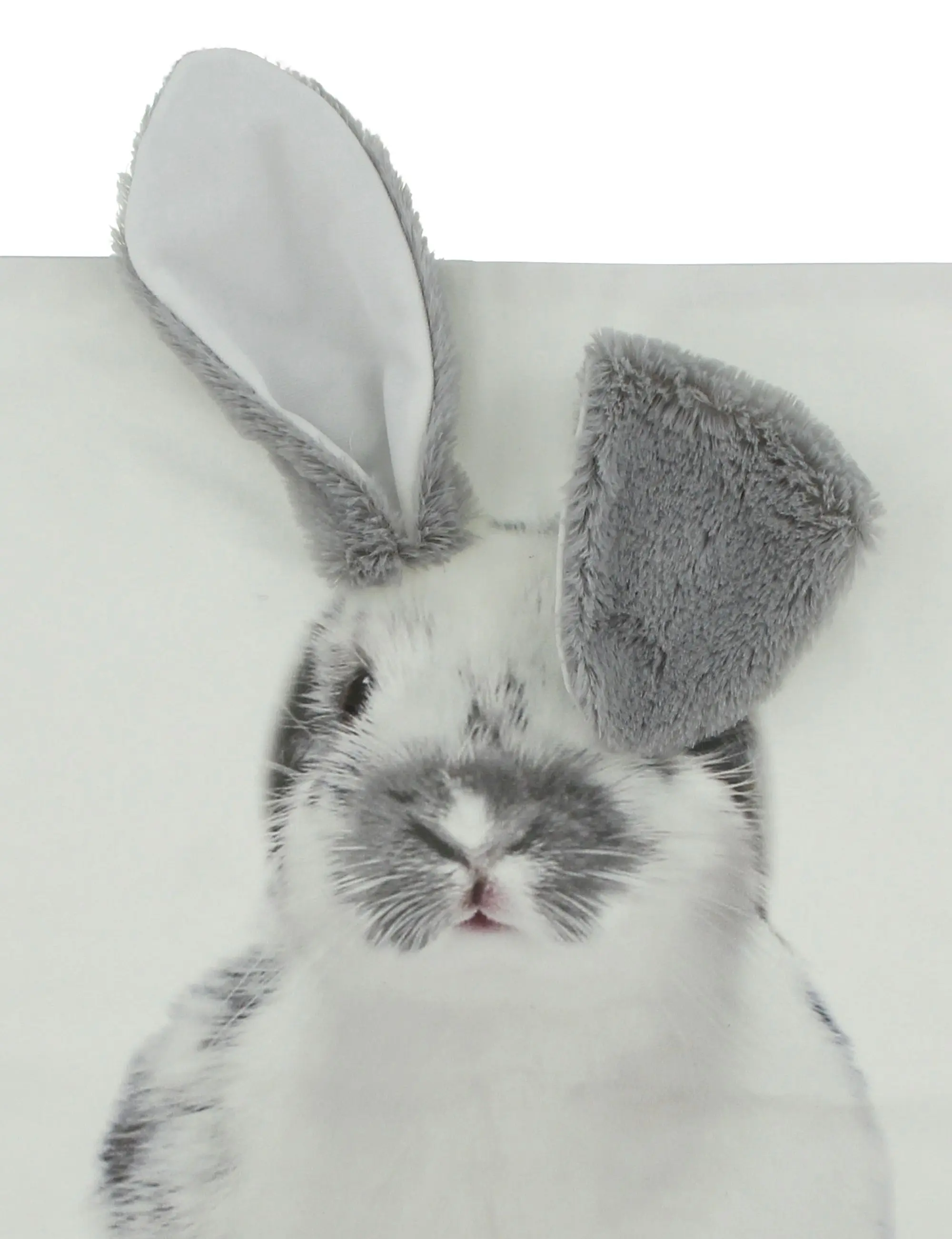 Kissenhülle "Schlappohr" im Frank Flechtwaren Online Shop für Ostern kaufen Kissenhülle "Schlappohr" im Frank Flechtwaren Online Shop für Ostern kaufen