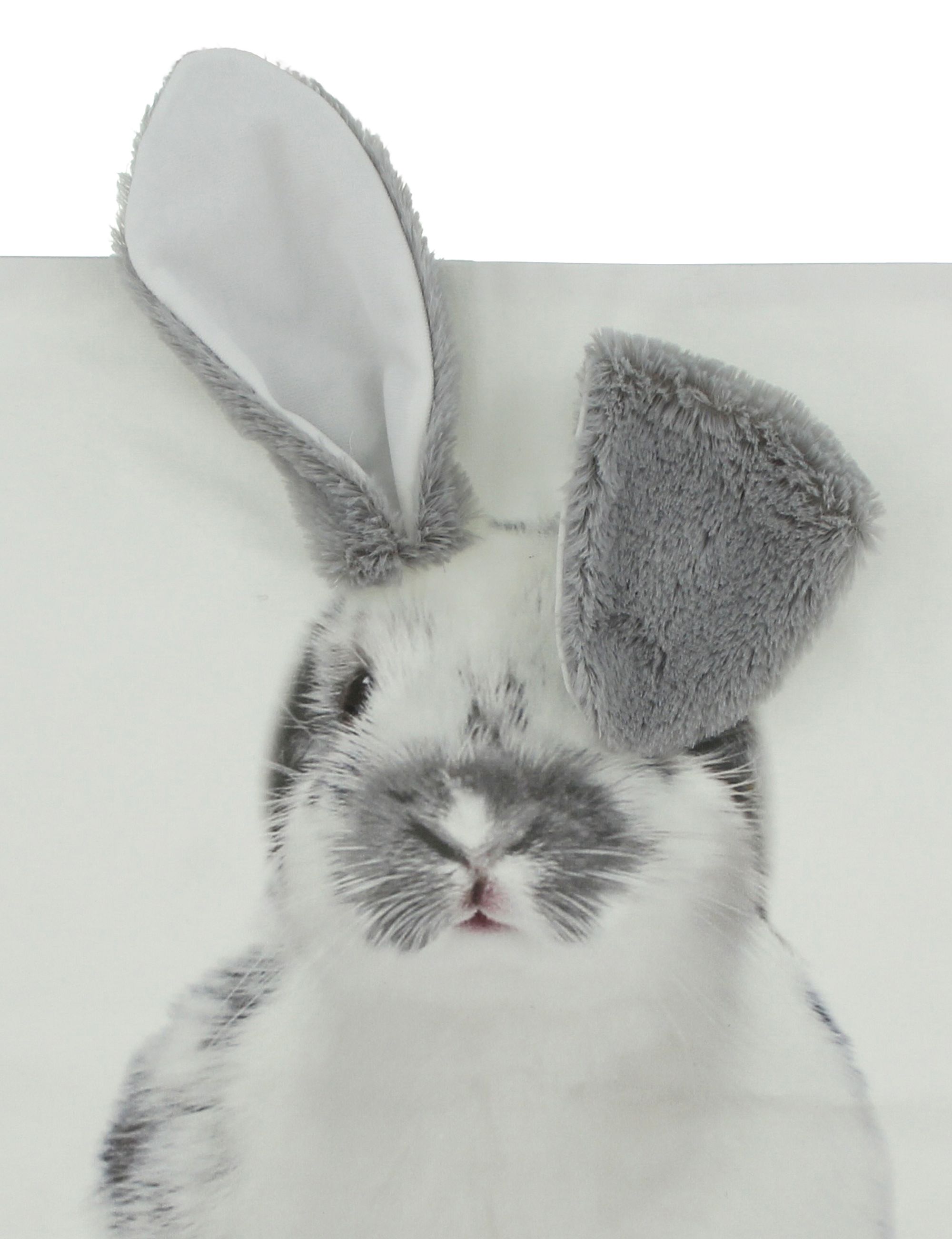 Kissenhülle "Schlappohr" im Frank Flechtwaren Online Shop für Ostern kaufen Kissenhülle "Schlappohr" im Frank Flechtwaren Online Shop für Ostern kaufen