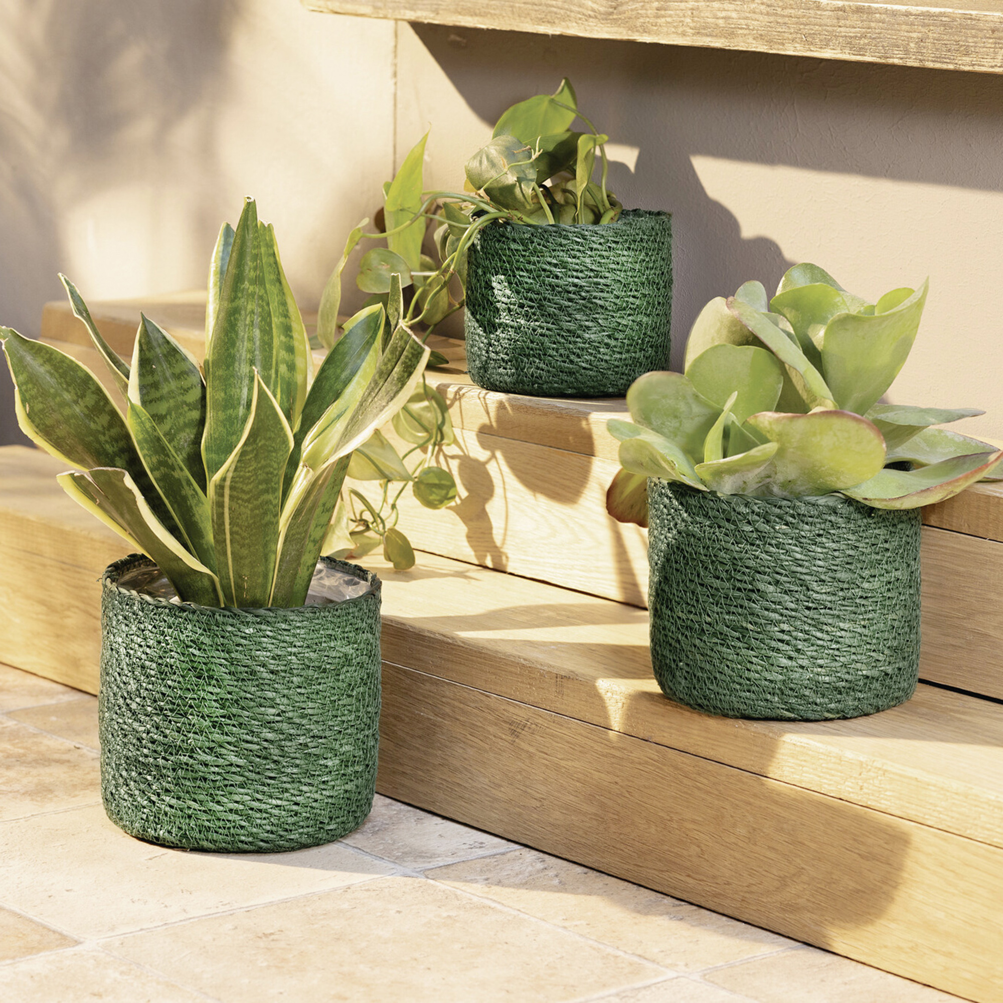 Pflanzkorb "Green", 3er Set  im Frank Flechtwaren Online Shop kaufen