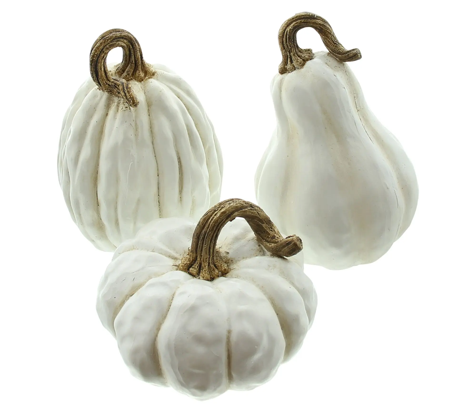 Kürbis "White", 3er Set  im Frank Flechtwaren Online Shop kaufen
