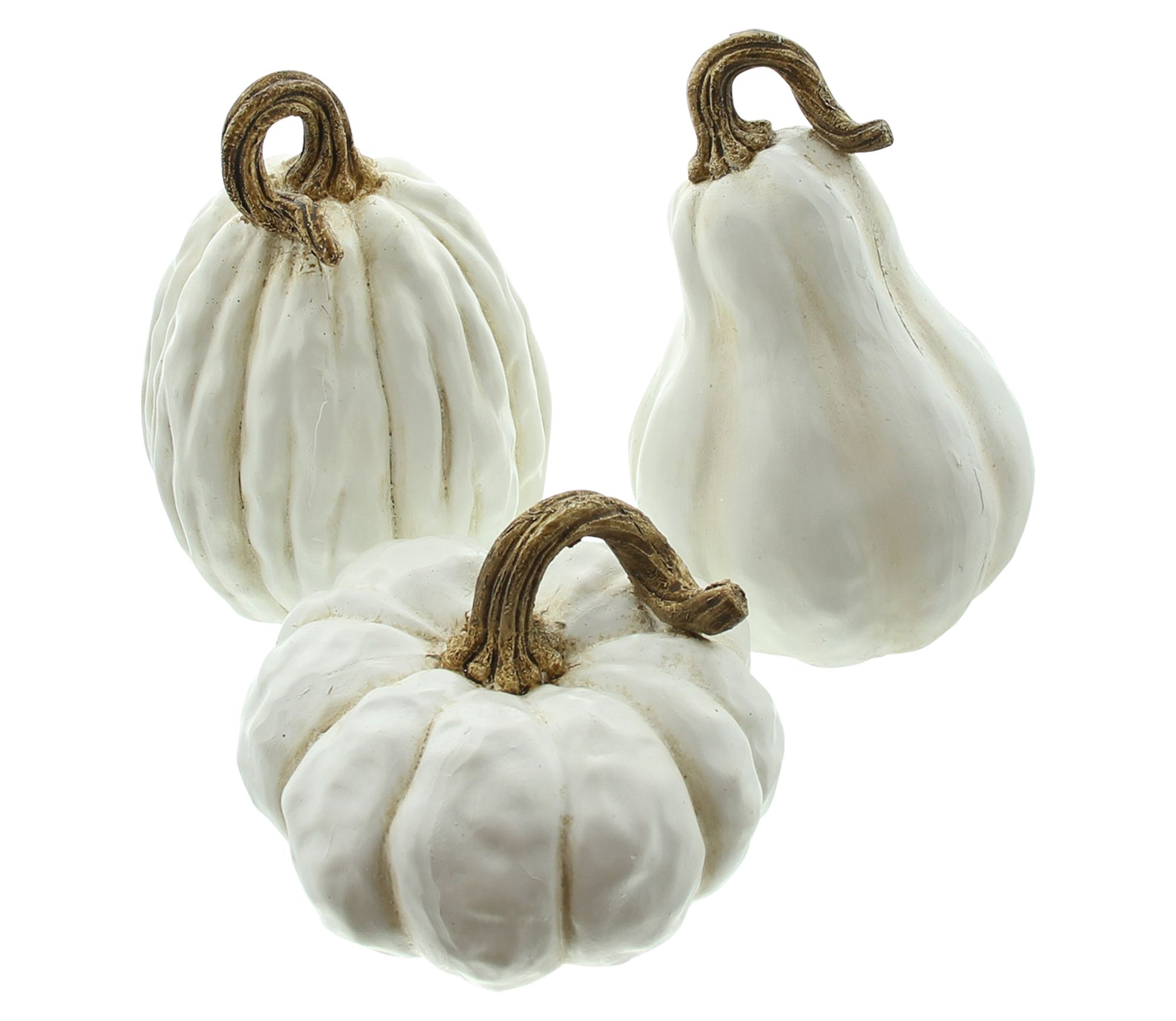 Kürbis "White", 3er Set im Frank Flechtwaren Online Shop für Herbst kaufen Kürbis "White", 3er Set im Frank Flechtwaren Online Shop für Herbst kaufen