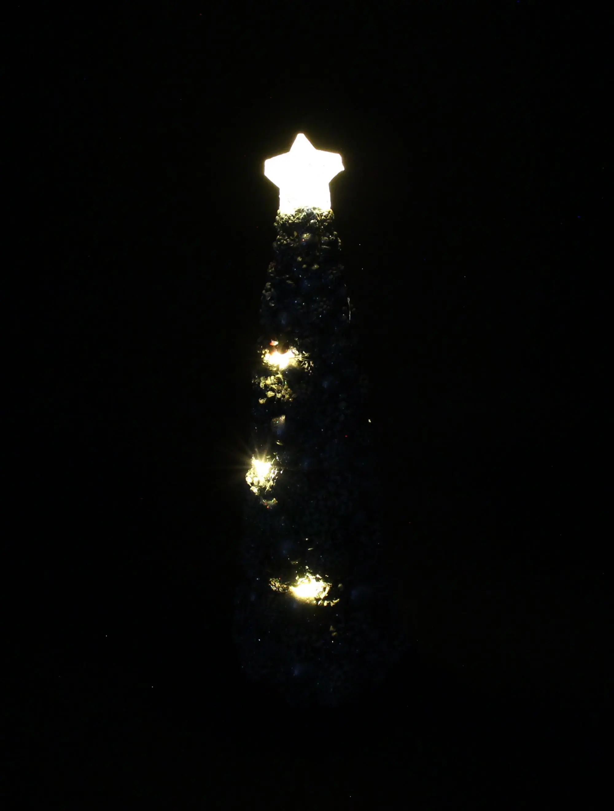 LED-Tanne "Petit Sapin" im Frank Flechtwaren Online Shop für Tannenbäume kaufen LED-Tanne "Petit Sapin" im Frank Flechtwaren Online Shop für Tannenbäume kaufen