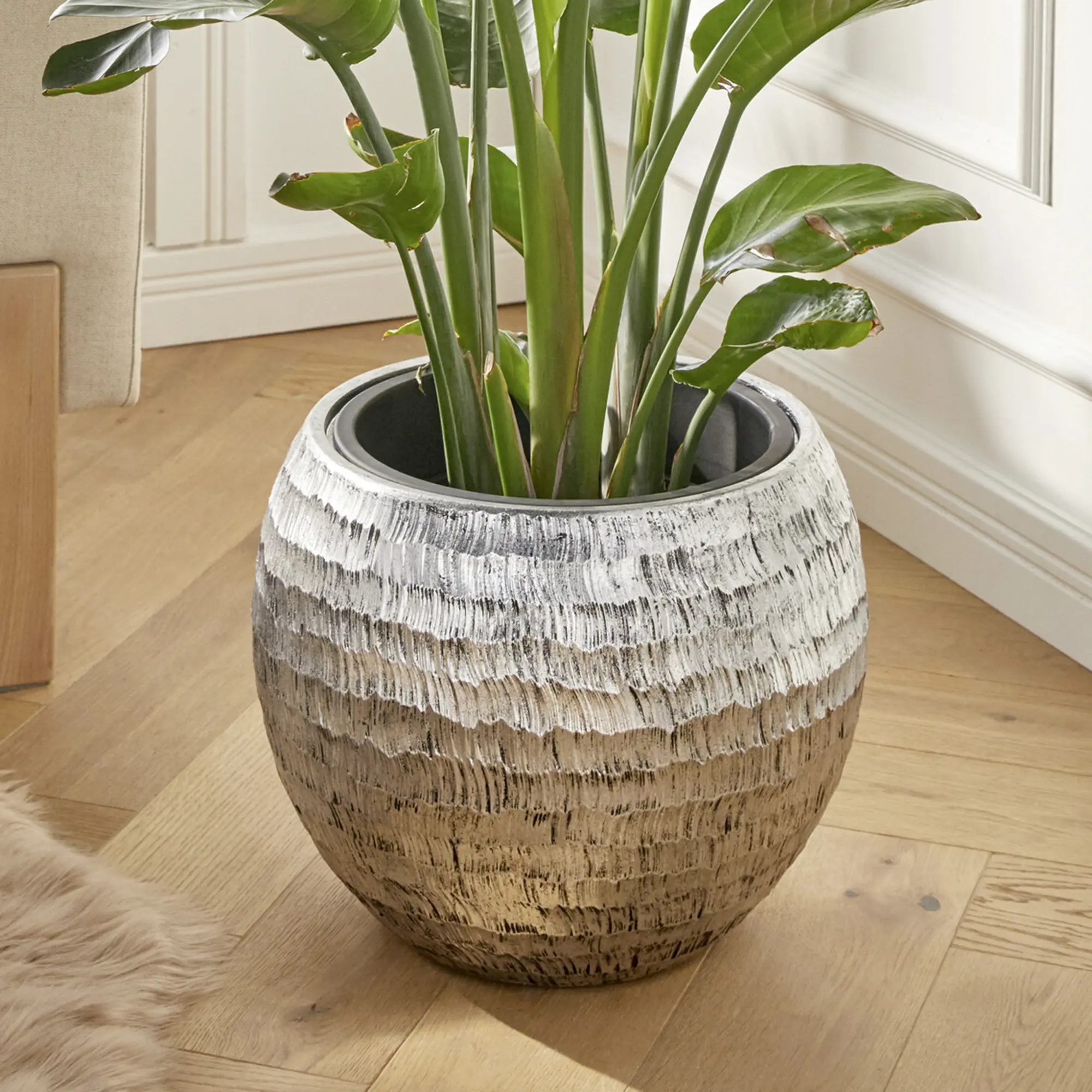 Übertopf "Silberstreif" im Frank Flechtwaren Online Shop für Ostern kaufen Übertopf "Silberstreif" im Frank Flechtwaren Online Shop für Ostern kaufen