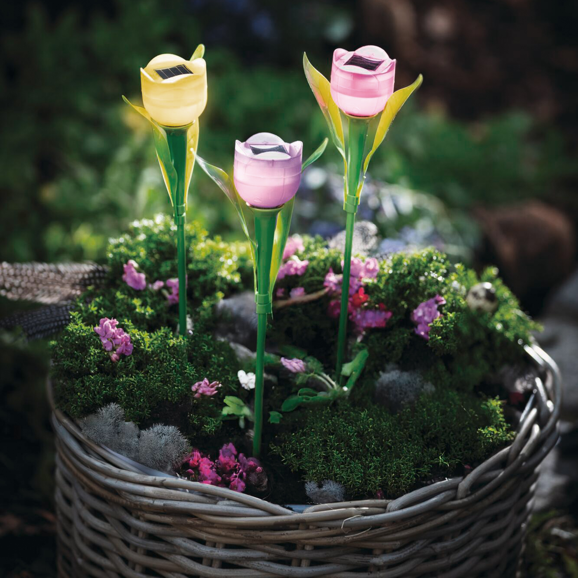 Solar-Deko "Tulpe", 3er Set  im Frank Flechtwaren Online Shop kaufen