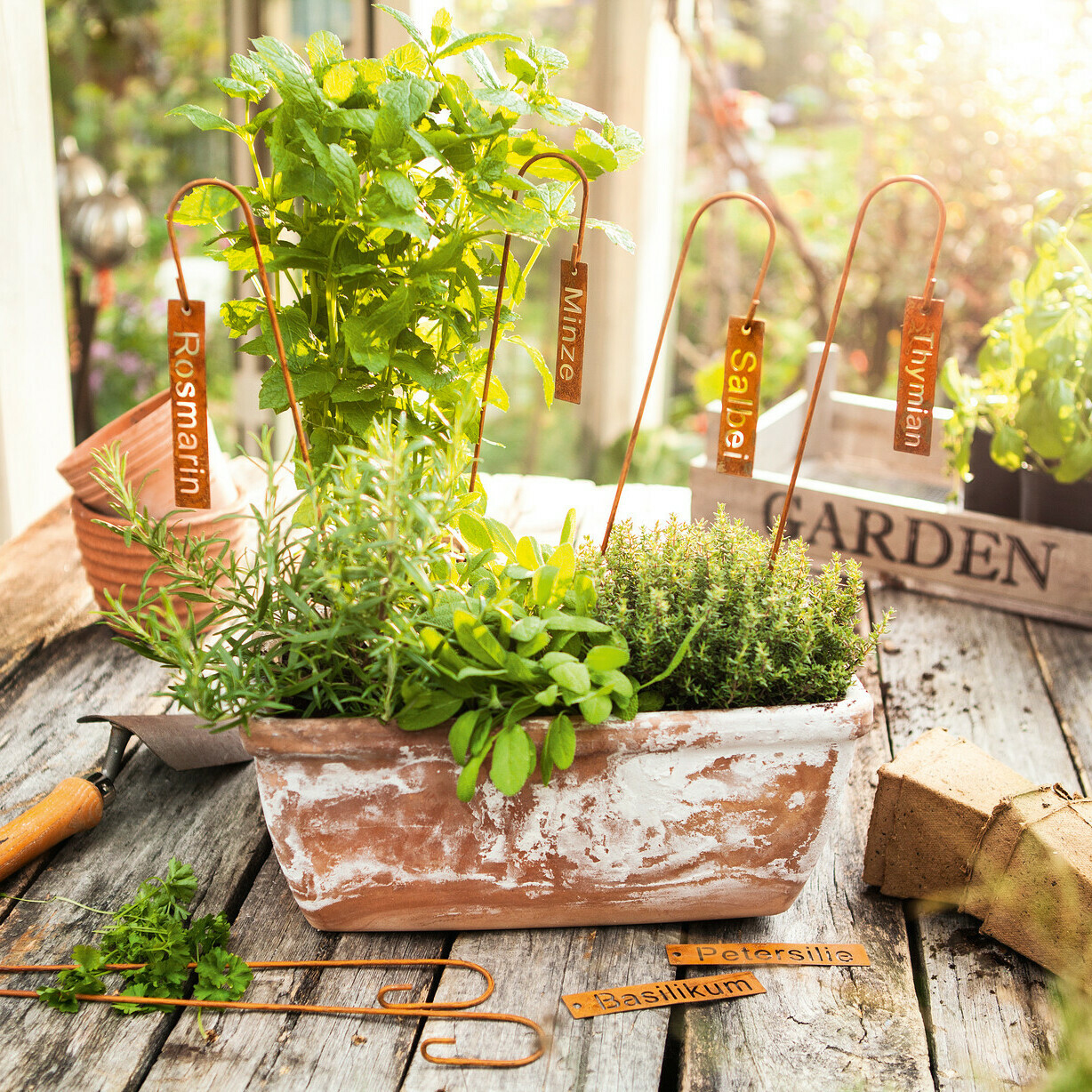 Pflanzenstecker "Kräuter", 6er Set im Frank Flechtwaren Online Shop für Gartenstecker kaufen Pflanzenstecker "Kräuter", 6er Set im Frank Flechtwaren Online Shop für Gartenstecker kaufen