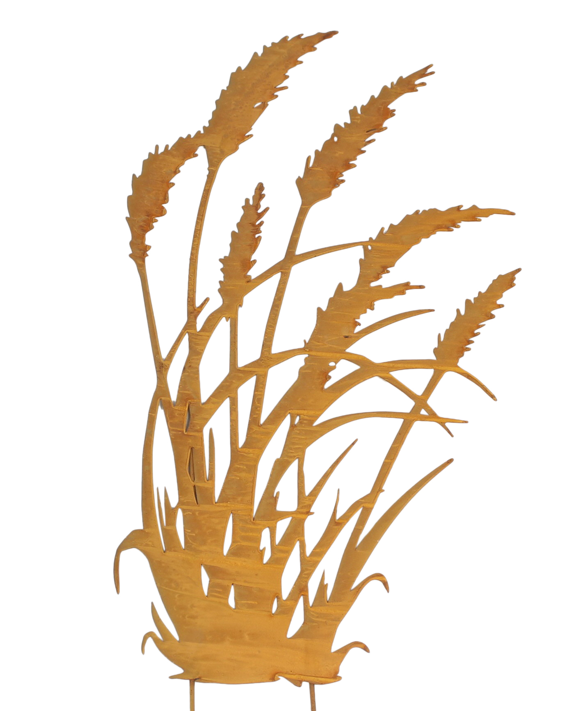 Gartenstecker "Schilf"  im Frank Flechtwaren Online Shop für Gartenstecker kaufen