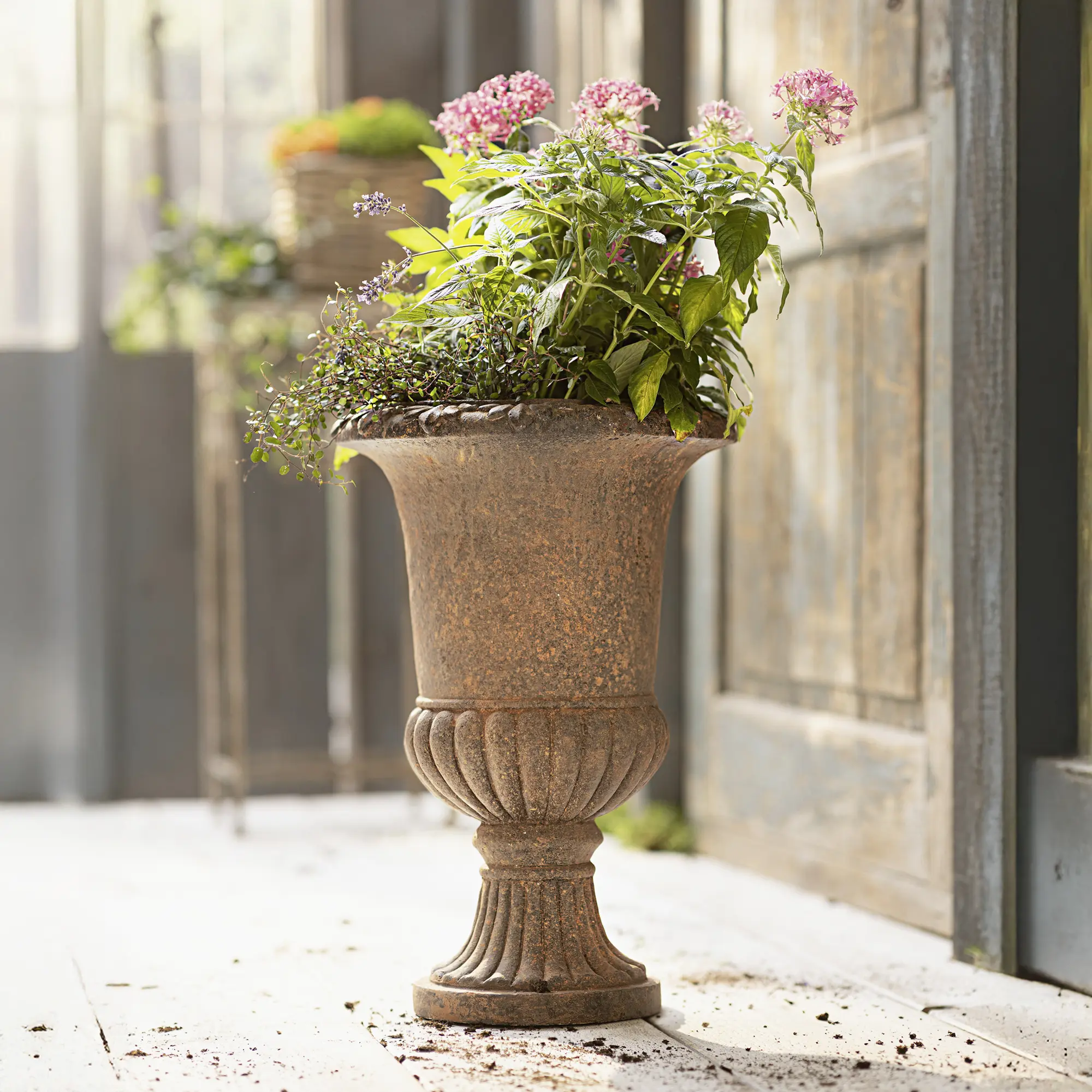 Pflanzer "Rustic Amphore"  im Frank Flechtwaren Online Shop kaufen