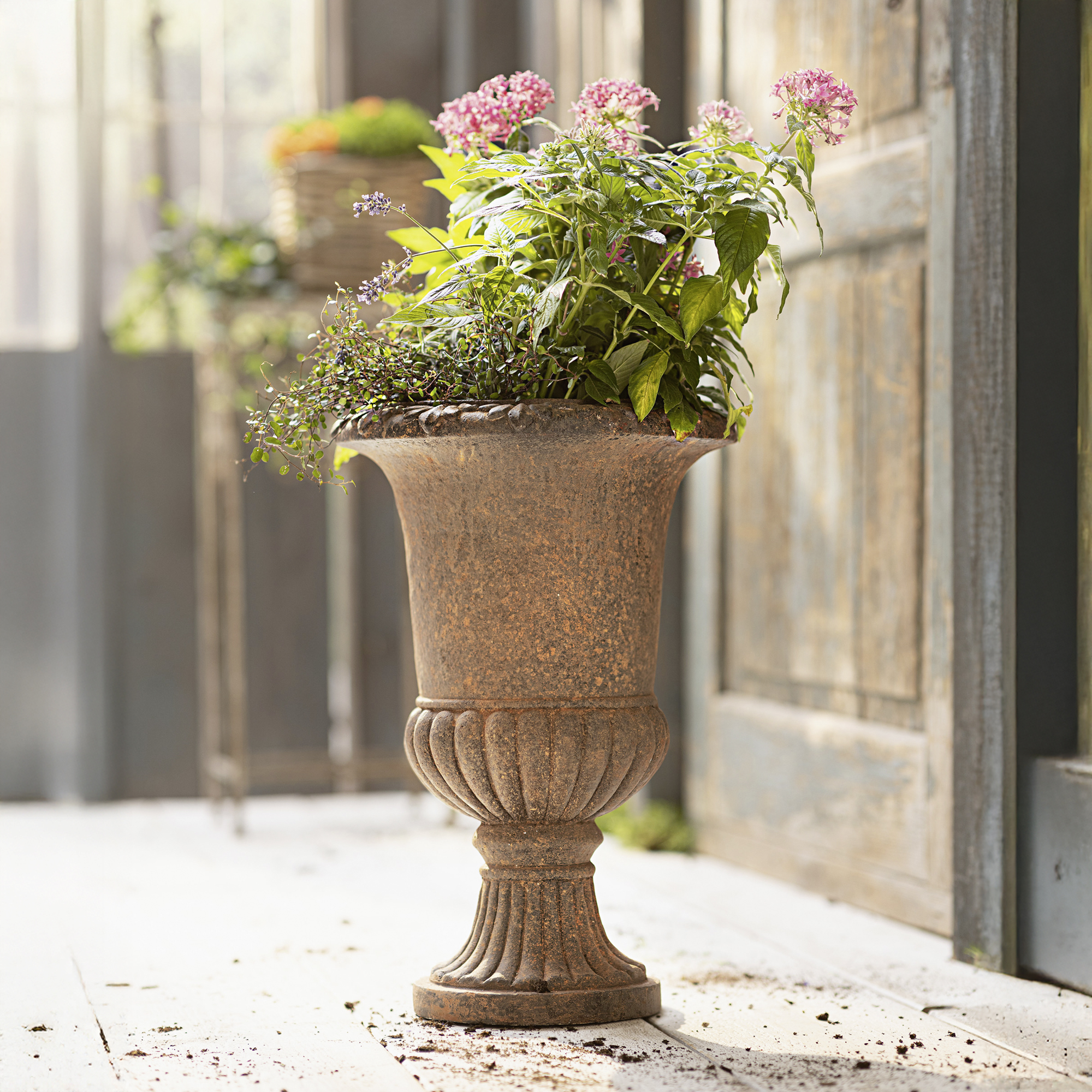 Pflanzer "Rustic Amphore"  im Frank Flechtwaren Online Shop kaufen