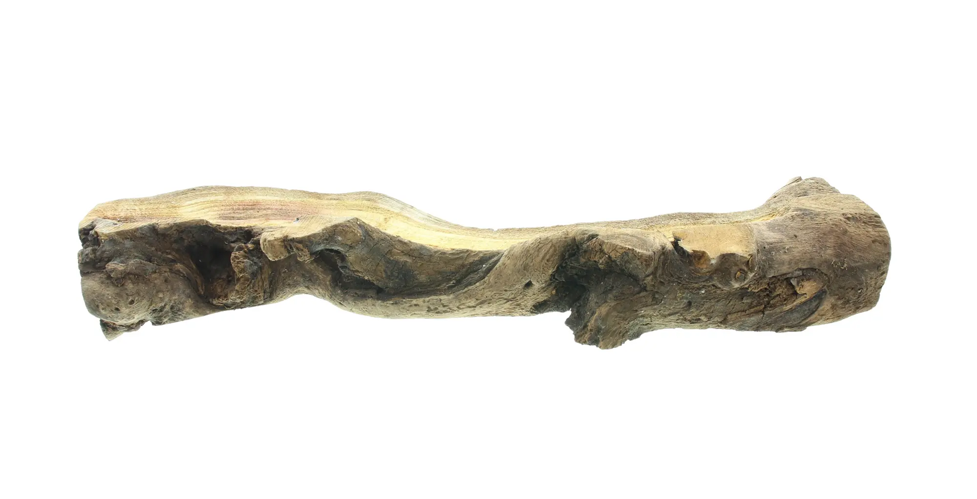Dekowurzel "Rustic Art"  im Frank Flechtwaren Online Shop für Dekobündel kaufen