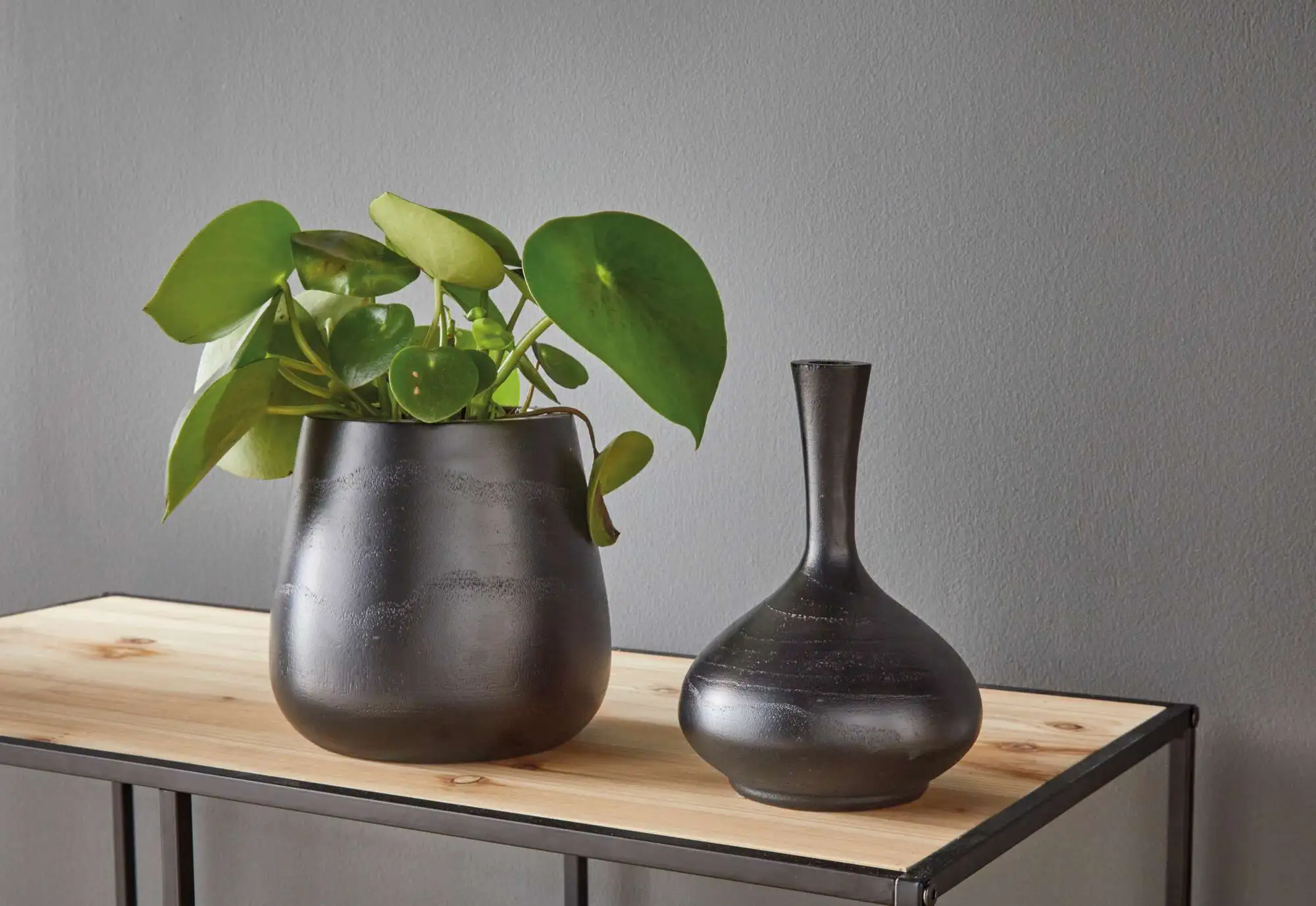 Dekovase "Solifleur"  im Frank Flechtwaren Online Shop kaufen