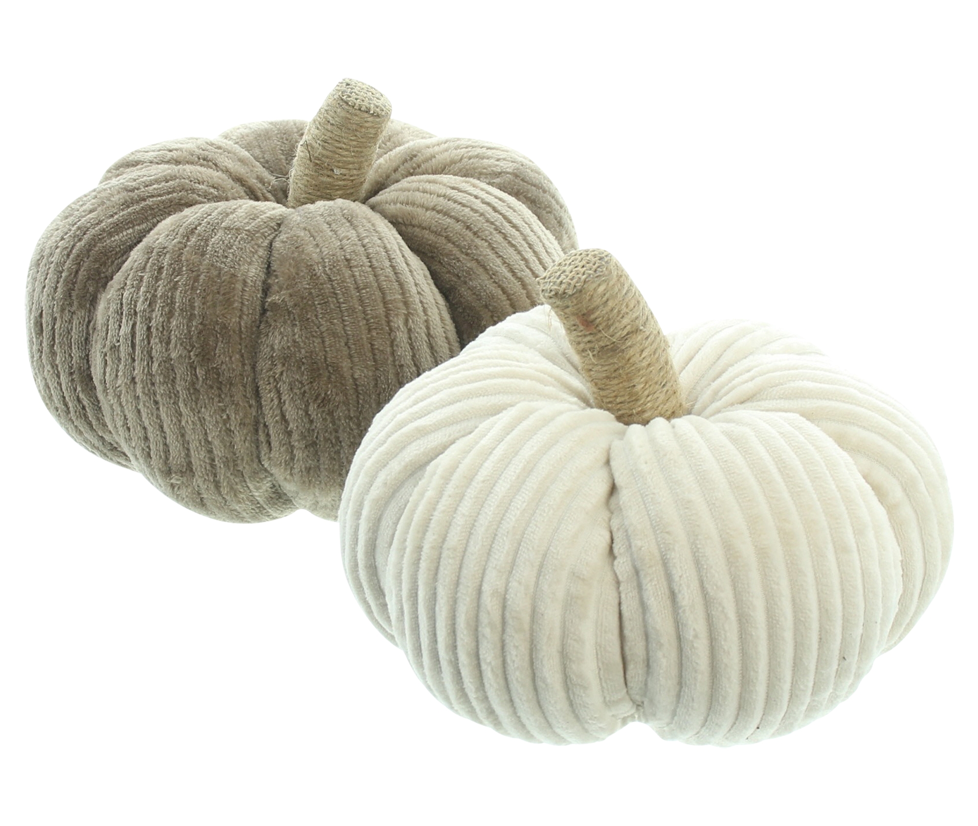 Kürbis "Cordsamt", 2er Set  im Frank Flechtwaren Online Shop für Titelserie Herbst/Winter kaufen