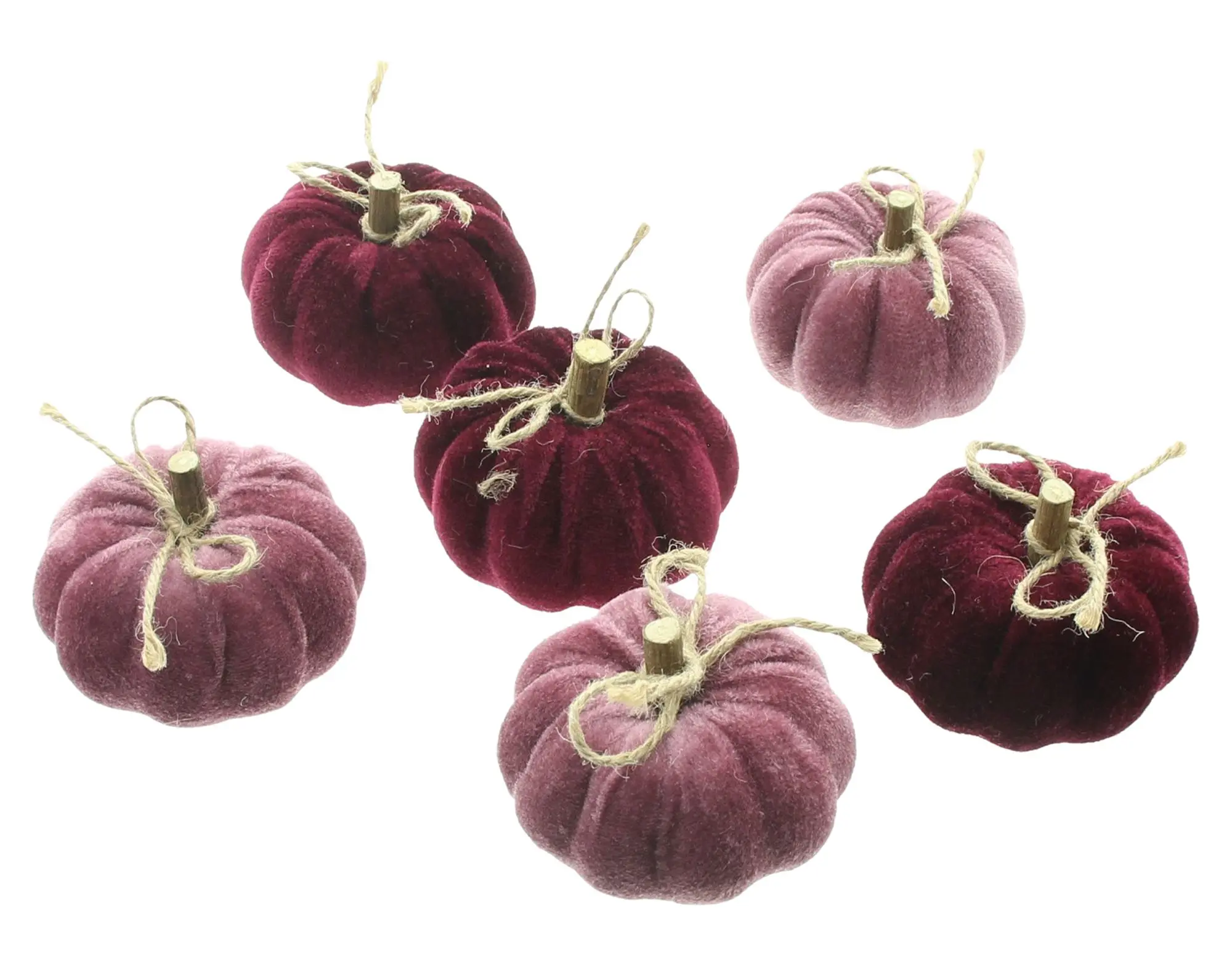 Kürbis "Purple Mix", 6er Set  im Frank Flechtwaren Online Shop für Dekokürbisse kaufen