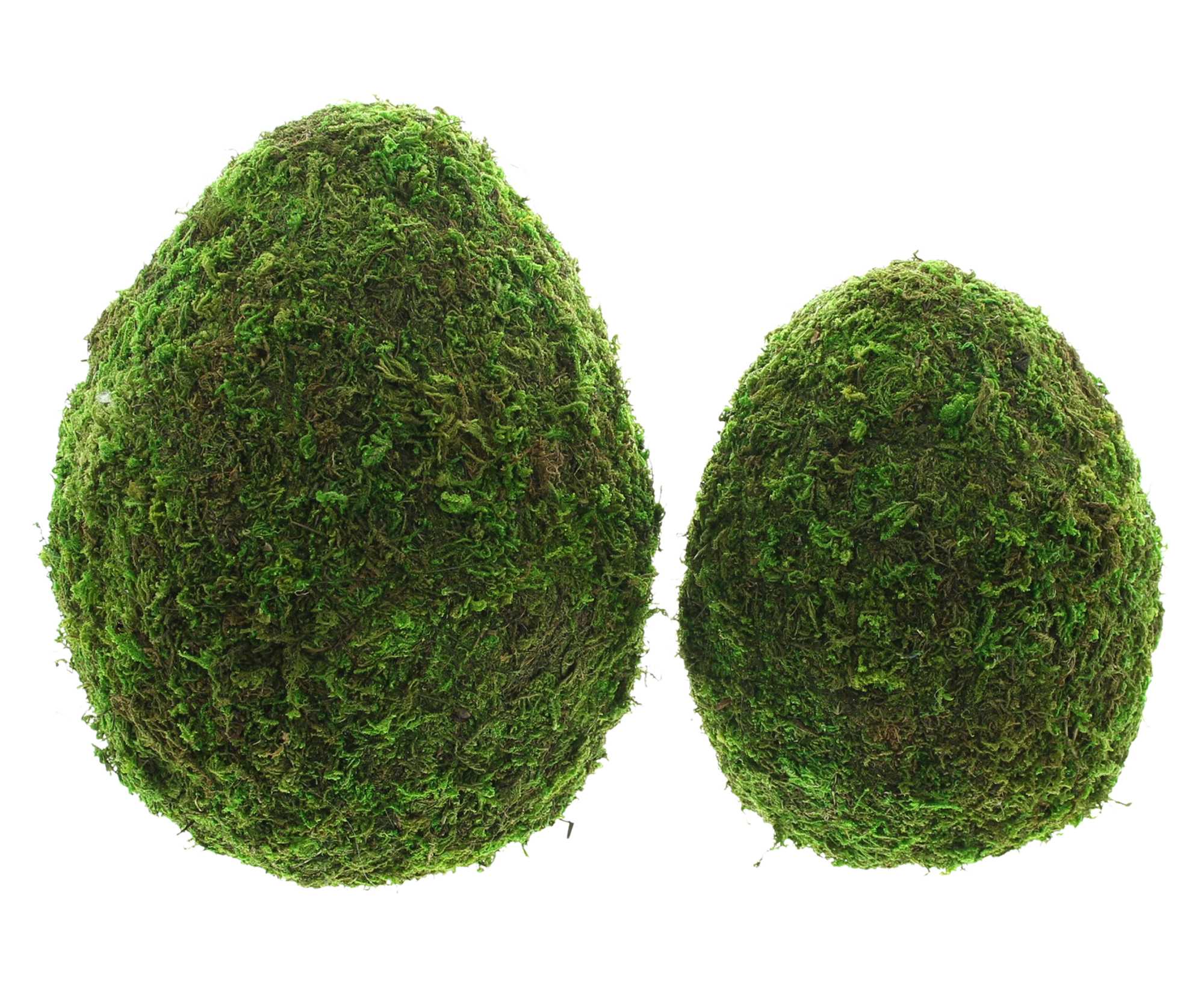 Deko-Ei "Moos", 2er Set  im Frank Flechtwaren Online Shop für Ostereier kaufen