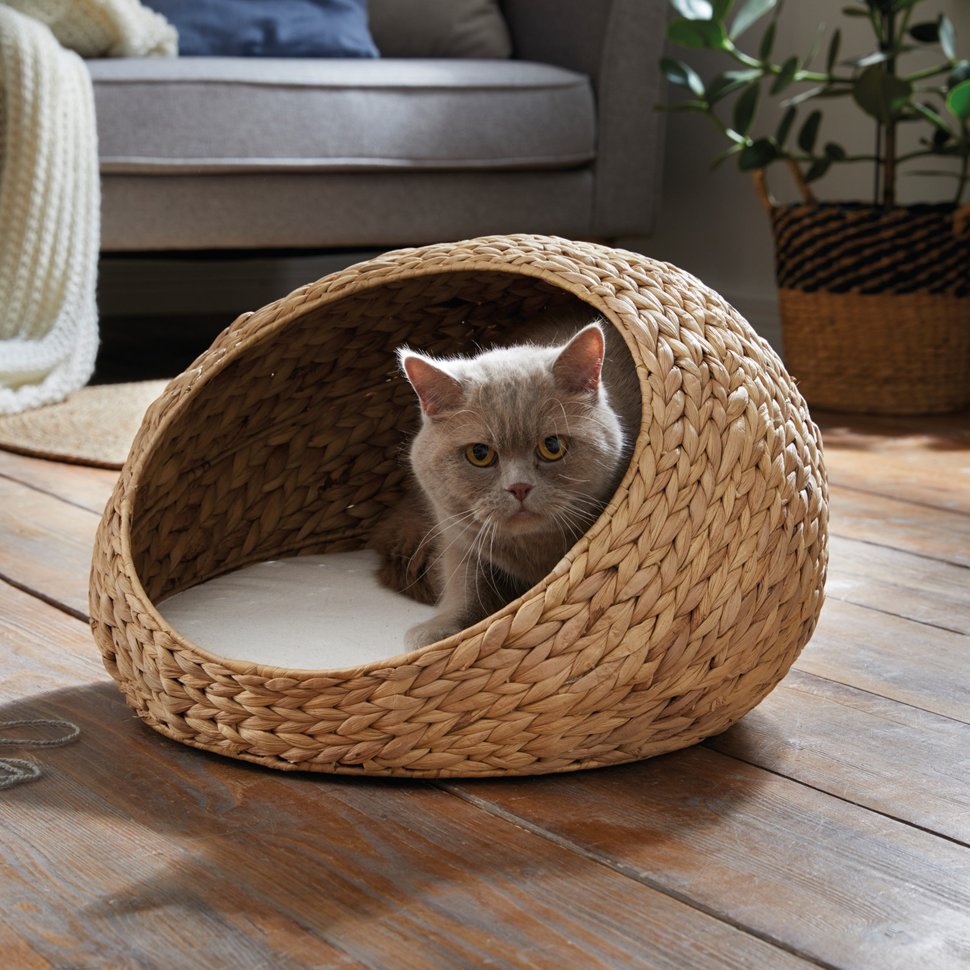 Tierbett "Kuschelhöhle"  im Frank Flechtwaren Online Shop kaufen