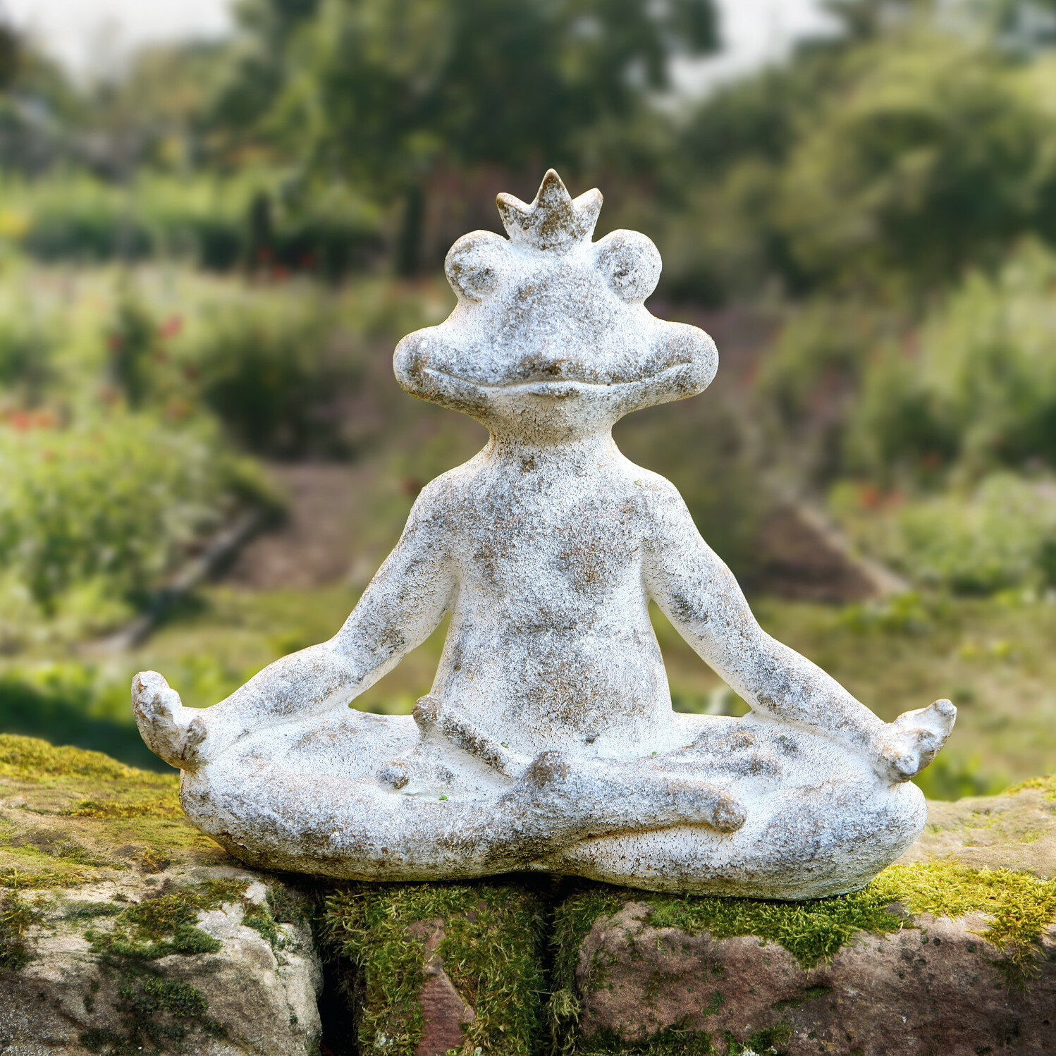 Frosch "Entspannung"  im Frank Flechtwaren Online Shop kaufen