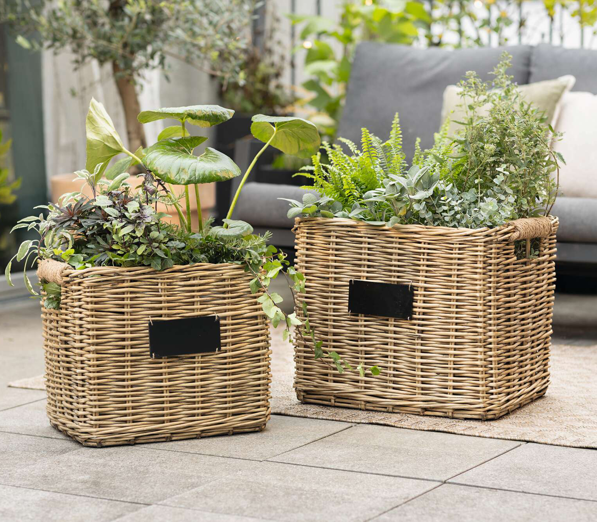 Pflanzkorb "Weiden-Chic", 2er Set  im Frank Flechtwaren Online Shop kaufen
