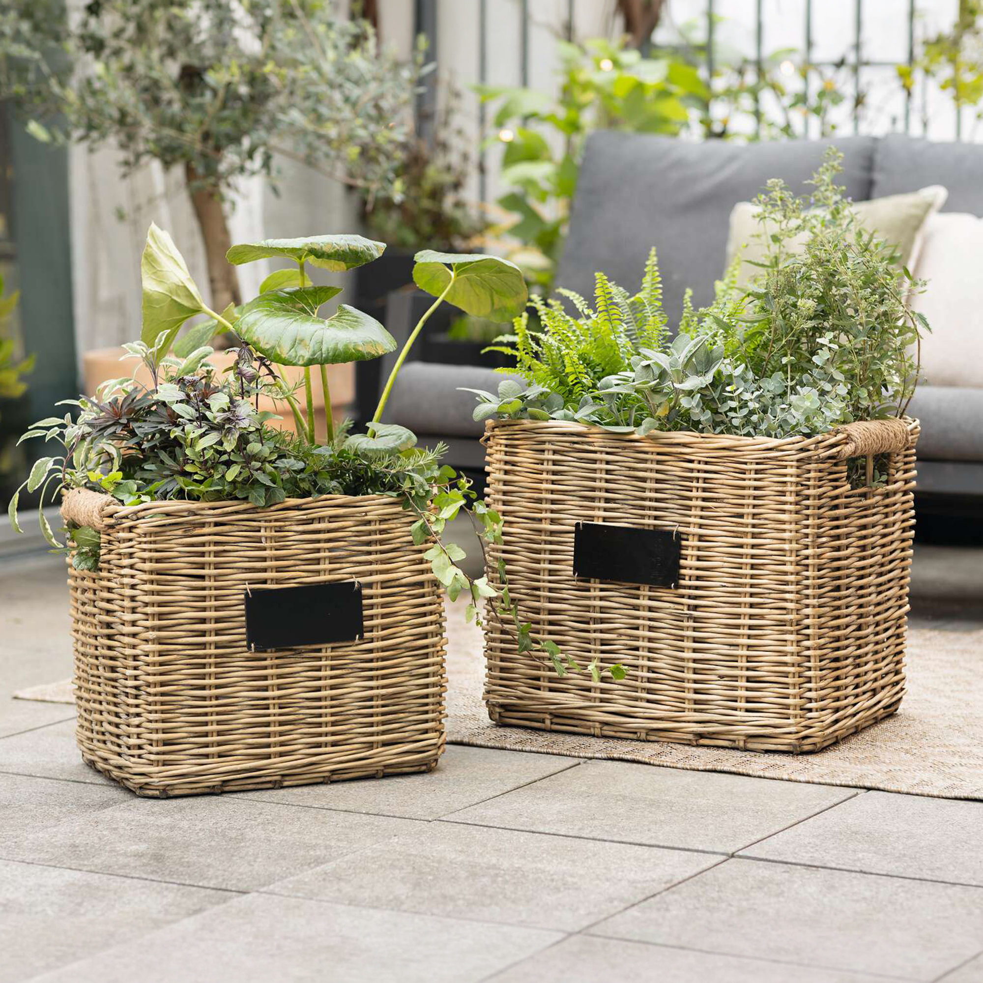 Pflanzkorb "Weiden-Chic", 2er Set  im Frank Flechtwaren Online Shop kaufen