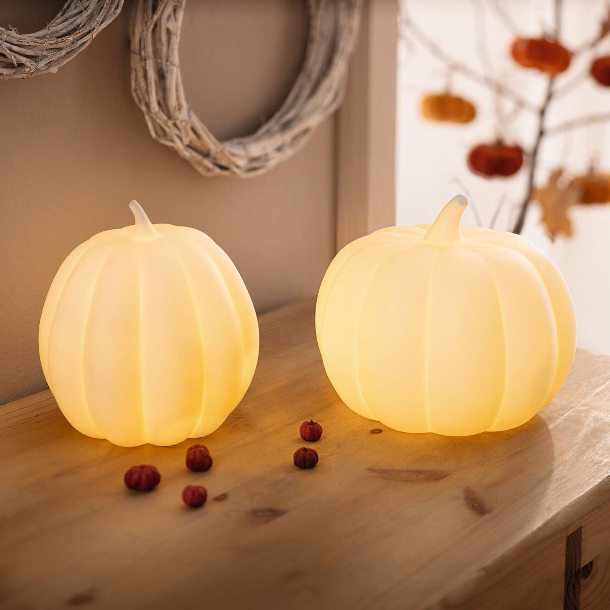 LED-Kürbis "White", 2er Set  im Frank Flechtwaren Online Shop kaufen