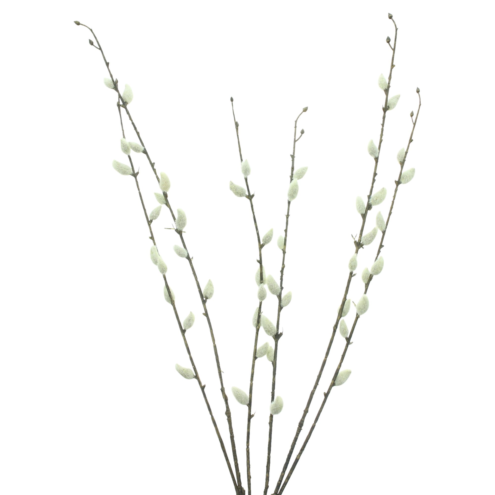 Dekozweig "Weidenkätzchen", 2er Set  im Frank Flechtwaren Online Shop für Kunstpflanzen kaufen