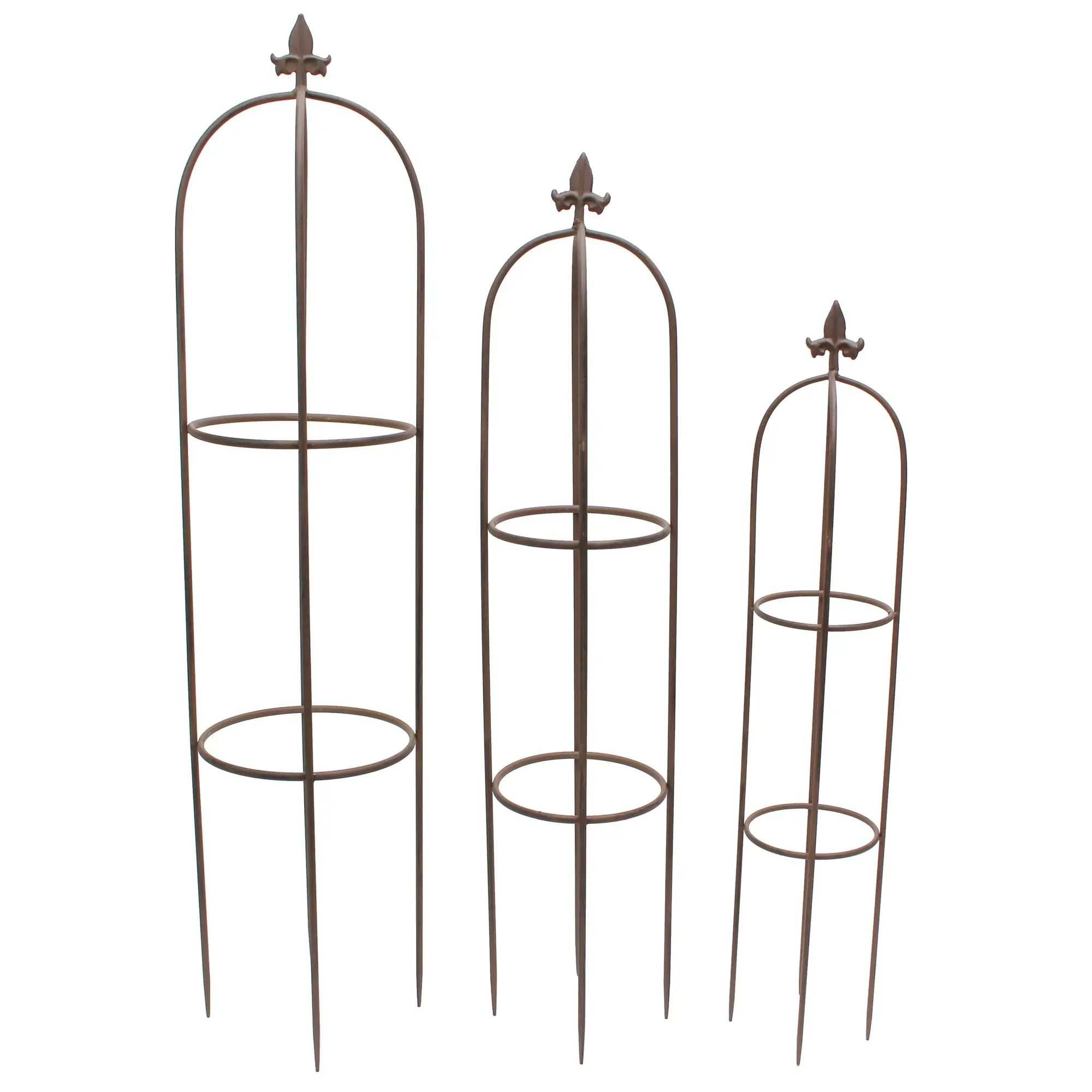 Rankhilfe "Schwertlilie", 3er Set im Frank Flechtwaren Online Shop für Rankhilfen & Rankbögen kaufen Rankhilfe "Schwertlilie", 3er Set im Frank Flechtwaren Online Shop für Rankhilfen & Rankbögen kaufen