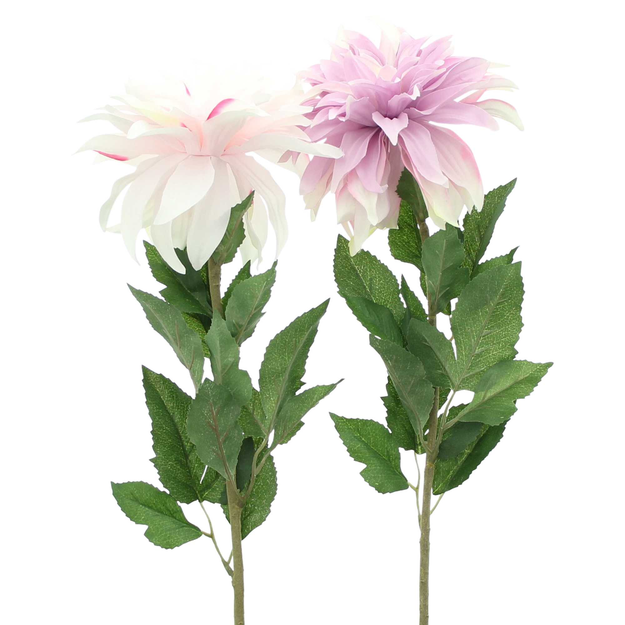 Blume "Orchideen-Dahlie", 2er Set im Frank Flechtwaren Online Shop für Kunstpflanzen kaufen Blume "Orchideen-Dahlie", 2er Set im Frank Flechtwaren Online Shop für Kunstpflanzen kaufen