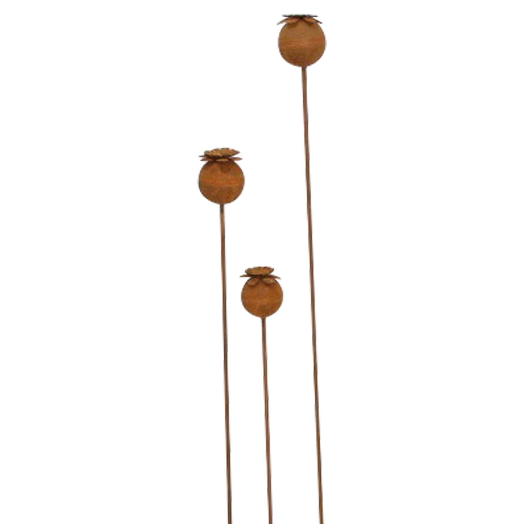 Gartenstecker "Mohn", 3er Set im Frank Flechtwaren Online Shop für Gartenstecker kaufen Gartenstecker "Mohn", 3er Set im Frank Flechtwaren Online Shop für Gartenstecker kaufen