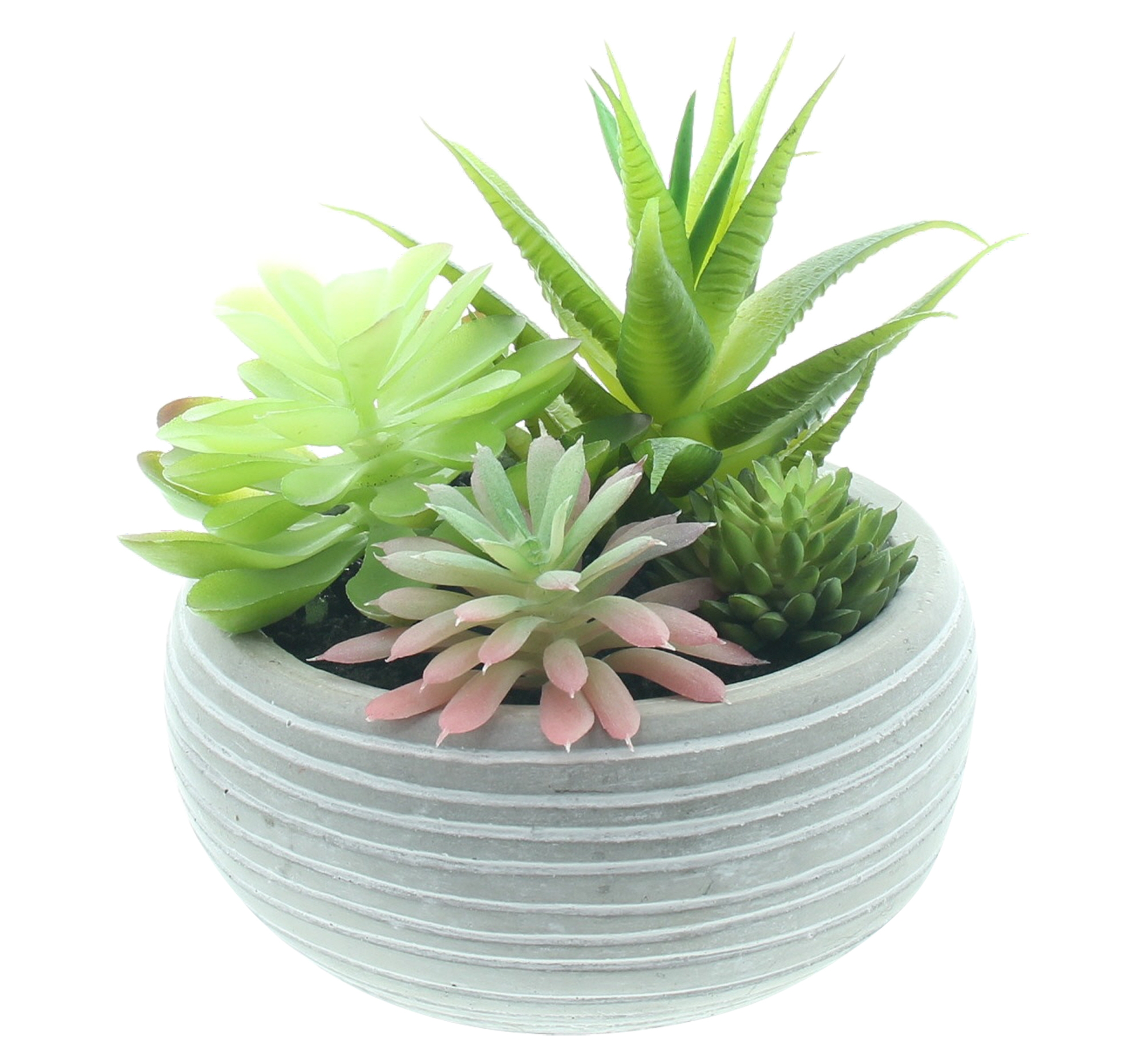 Kunstpflanze "Sukkulenten im Topf"  im Frank Flechtwaren Online Shop für Kunstpflanzen kaufen