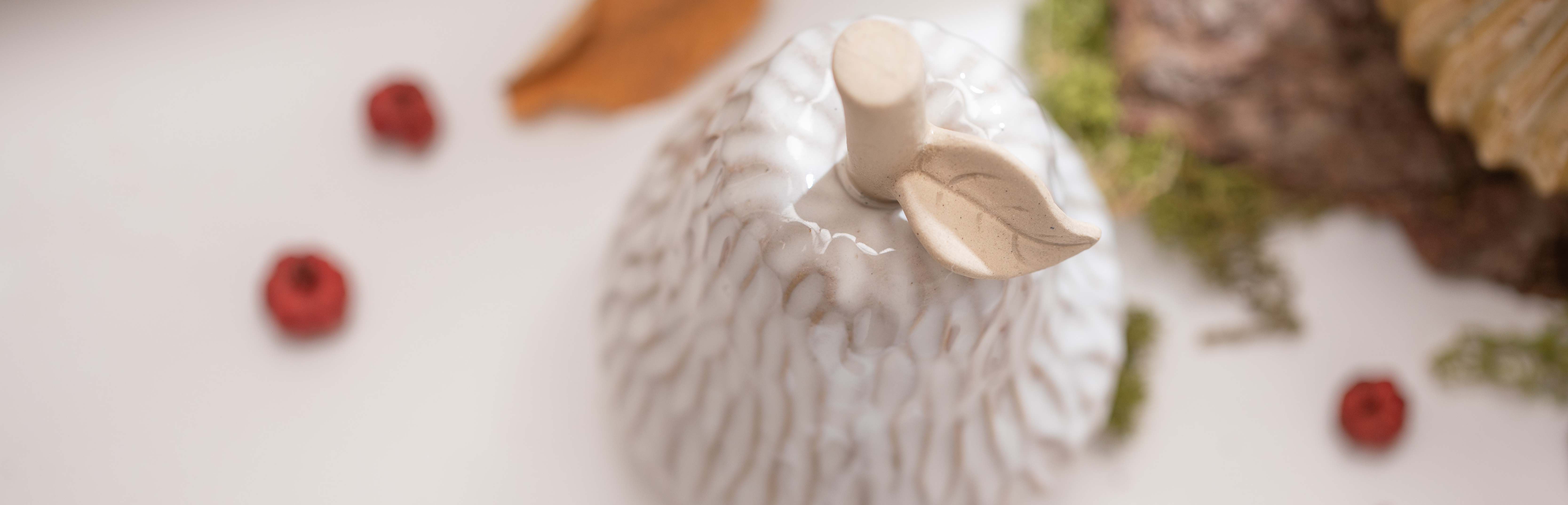 Unsere Titelserie Herbst/Winter