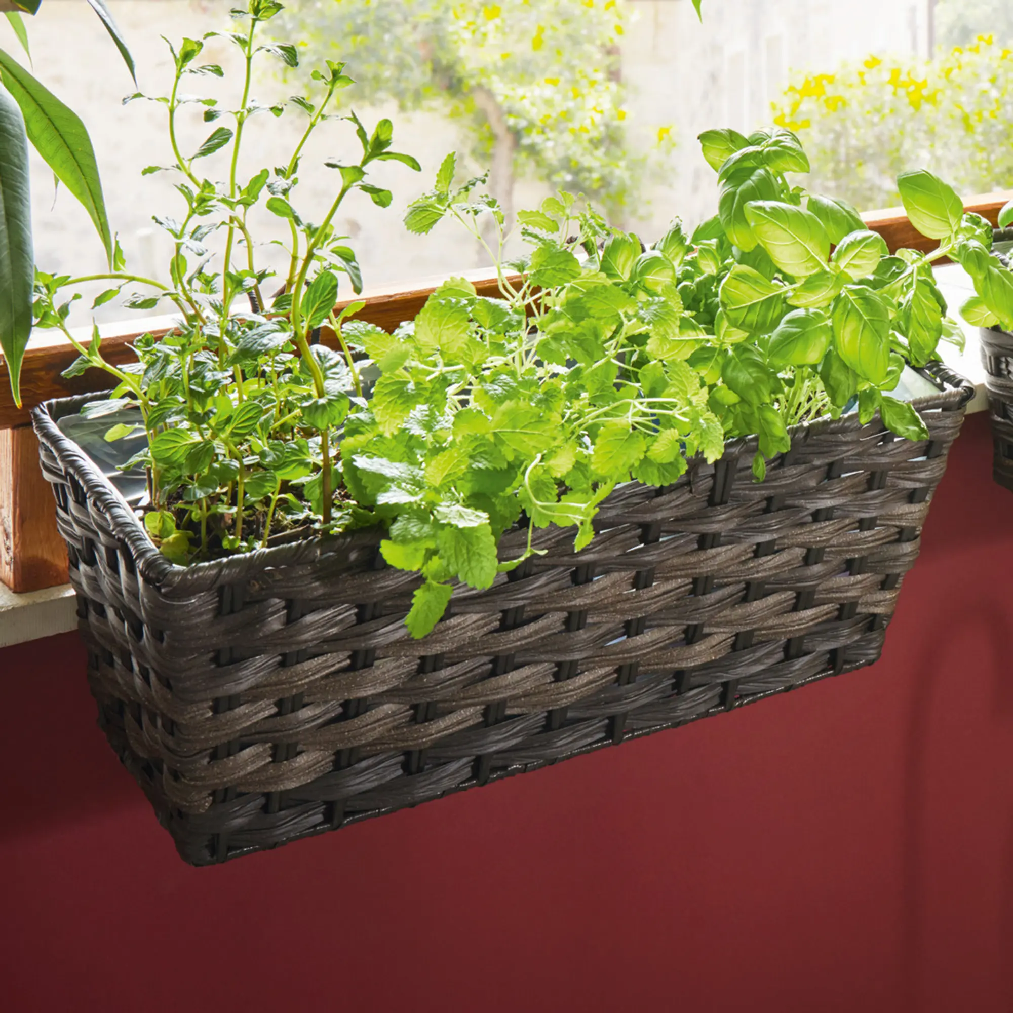 Balkonpflanzer "Polyrattan" im Frank Flechtwaren Online Shop für Pflanztöpfe kaufen Balkonpflanzer "Polyrattan" im Frank Flechtwaren Online Shop für Pflanztöpfe kaufen