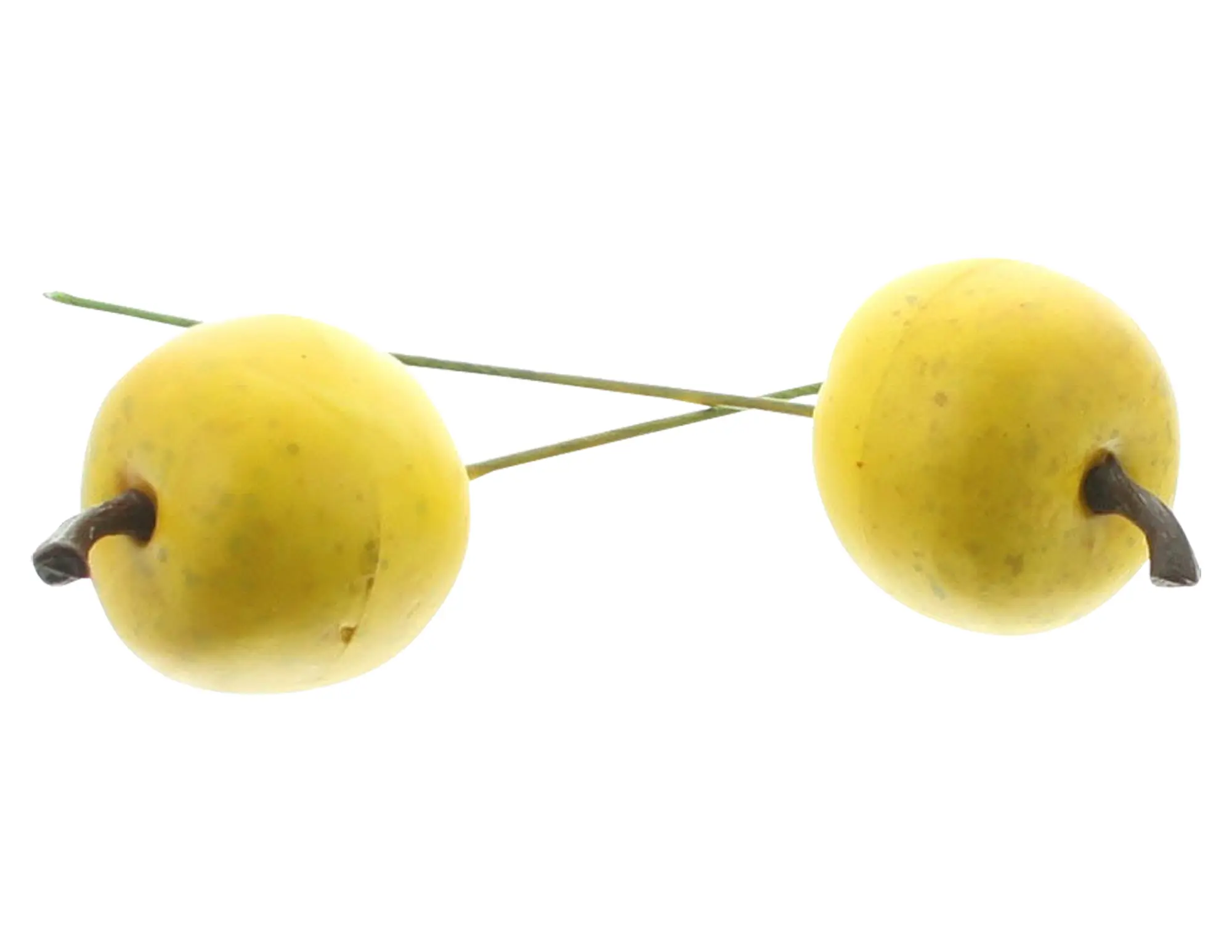Mini-Apfel "Gelb", 24er Set  im Frank Flechtwaren Online Shop für Streuer &amp; Stecker kaufen