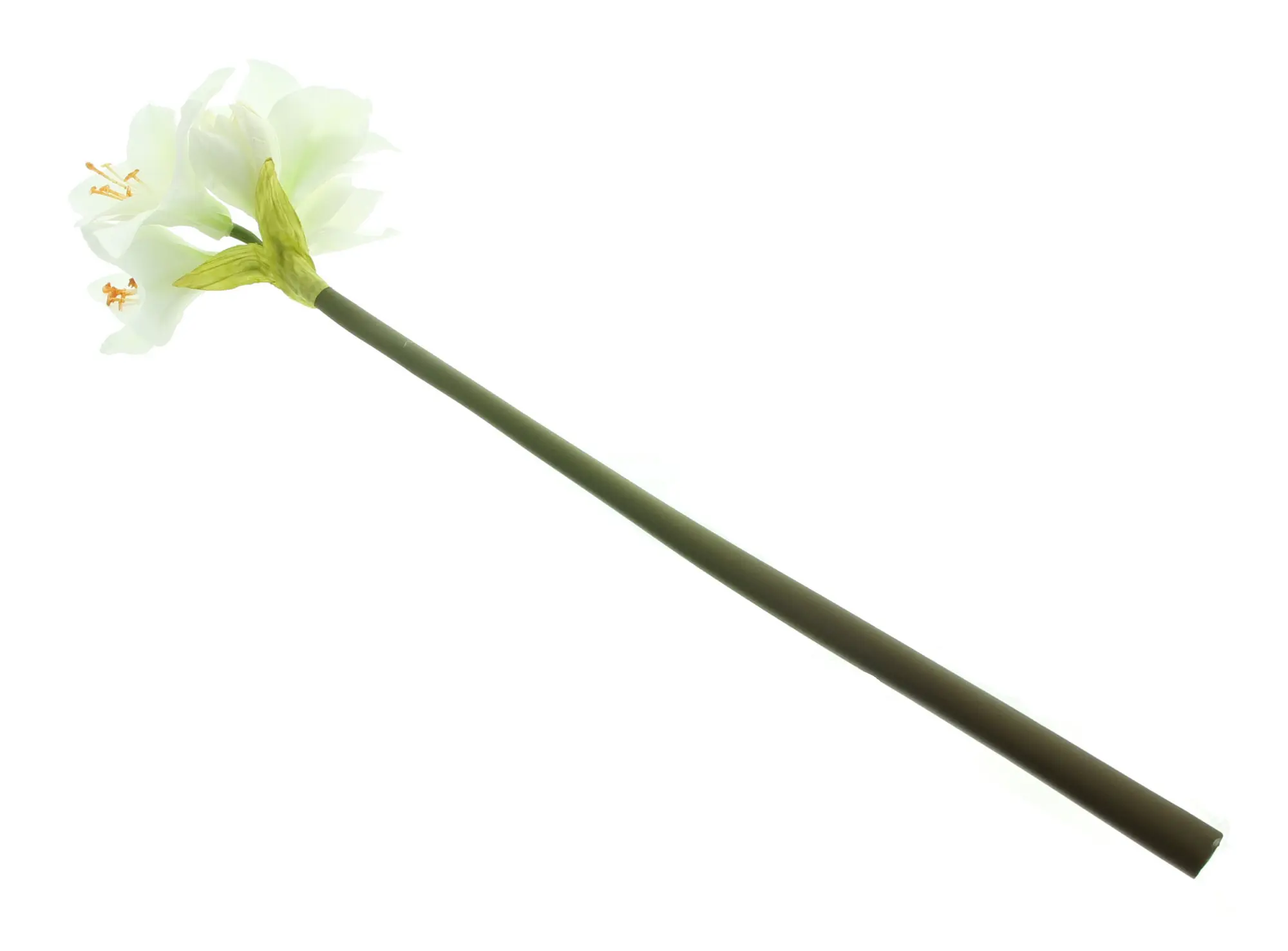 Kunstblume "Amaryllis", creme im Frank Flechtwaren Online Shop für Kunstpflanzen kaufen Kunstblume "Amaryllis", creme im Frank Flechtwaren Online Shop für Kunstpflanzen kaufen