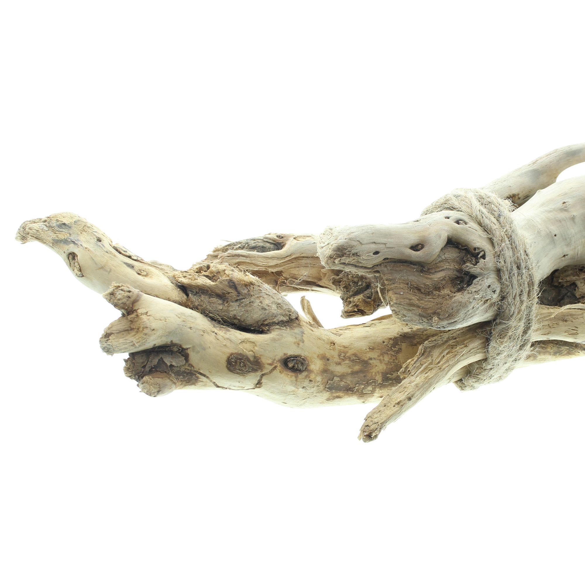 Bündel "Wurzelholz"  im Frank Flechtwaren Online Shop für Dekobündel kaufen