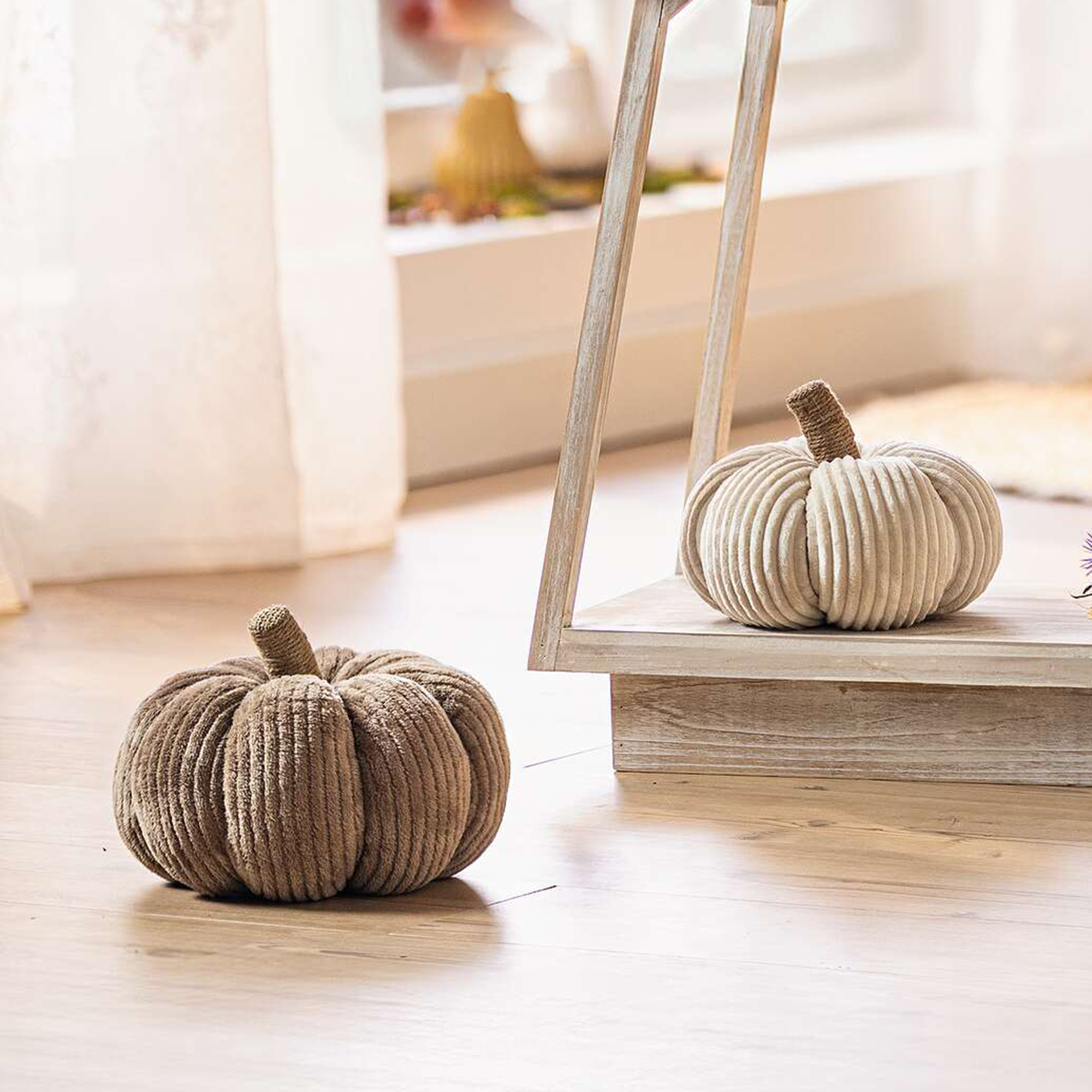 Kürbis "Cordsamt", 2er Set  im Frank Flechtwaren Online Shop für Titelserie Herbst/Winter kaufen