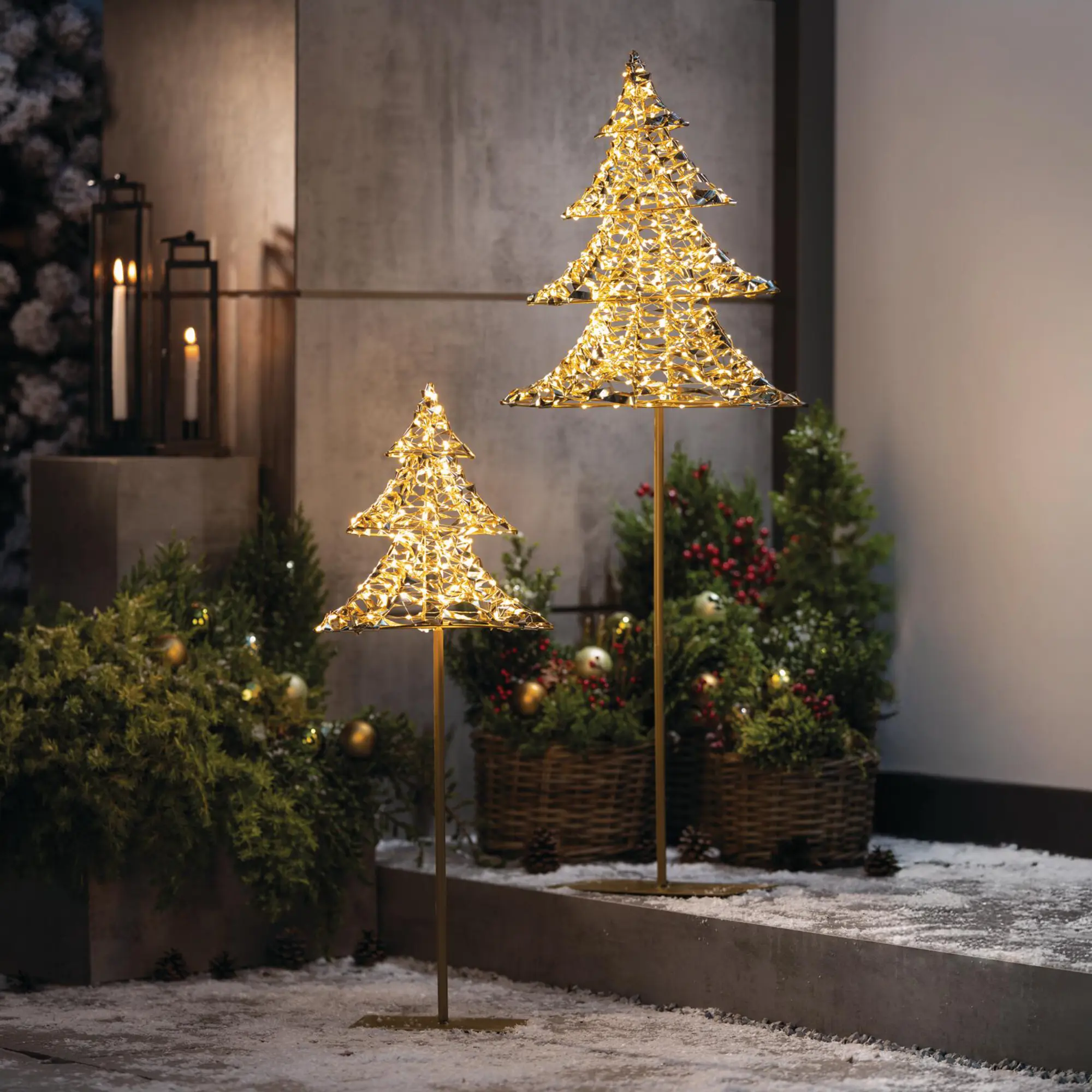 LED-Tanne "Golden", 2er Set  im Frank Flechtwaren Online Shop kaufen