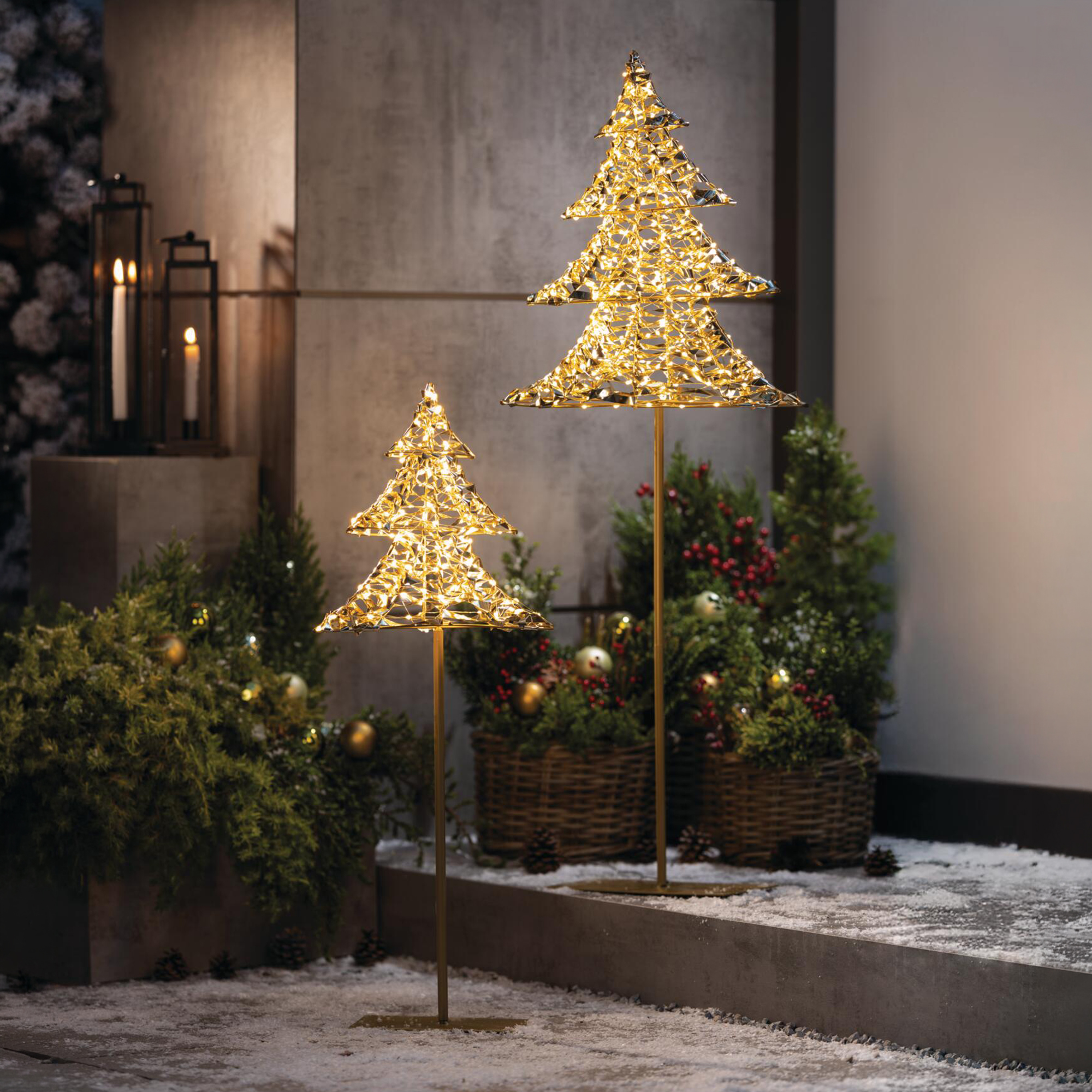 LED-Tanne "Golden", 2er Set  im Frank Flechtwaren Online Shop kaufen