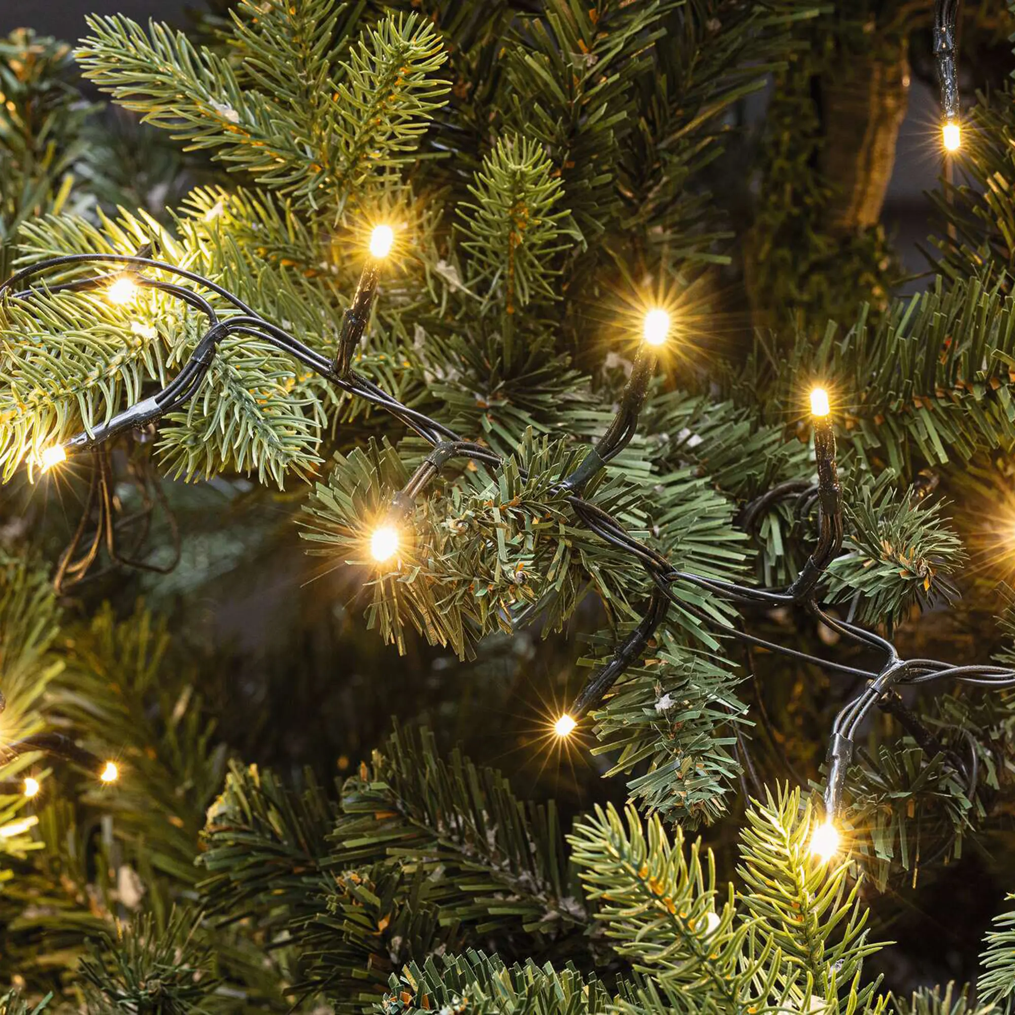 LED-Lichterkette "3D"  im Frank Flechtwaren Online Shop kaufen